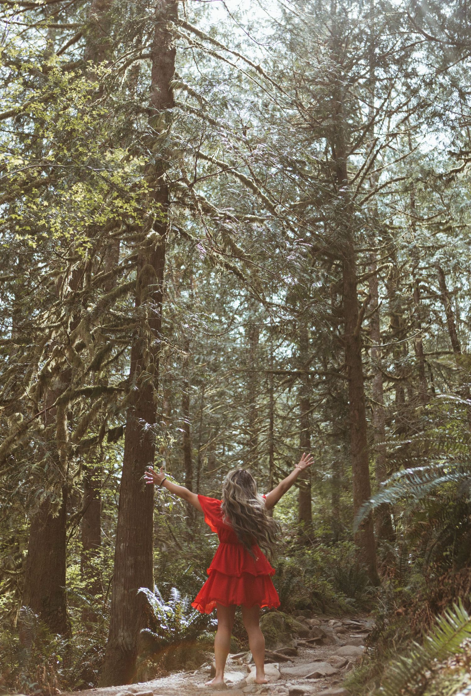A figure in a flowing red dress dances and twirls along a forest trail surrounded by tall evergreen trees.