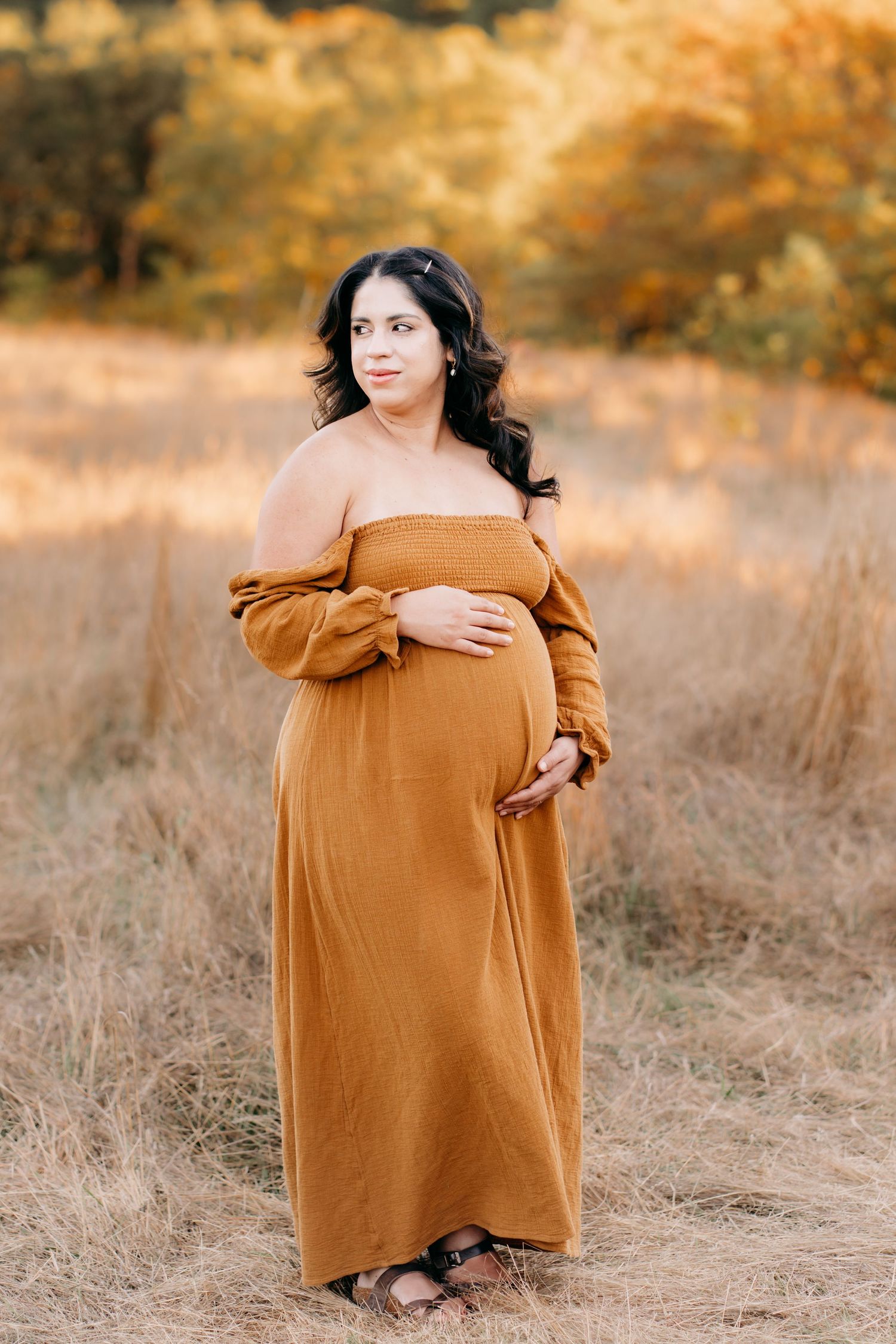 A maternity photo in a golden field shows an off-shoulder brown dress against warm autumn colors at sunset during maternity photos in Tacoma