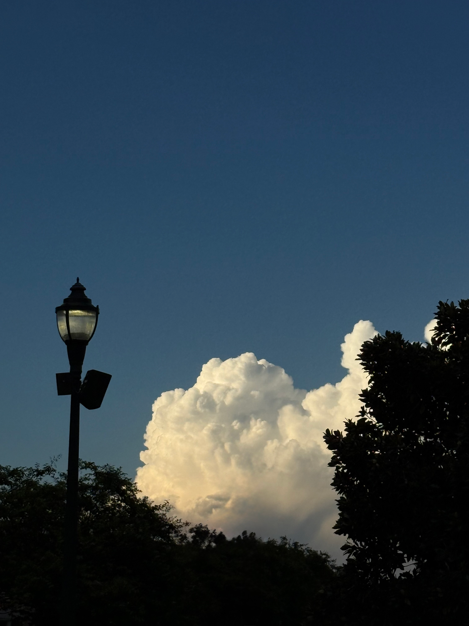 Dramatic cumulus cloud formation at dusk beside a glowing street lamp and silhouetted trees.
