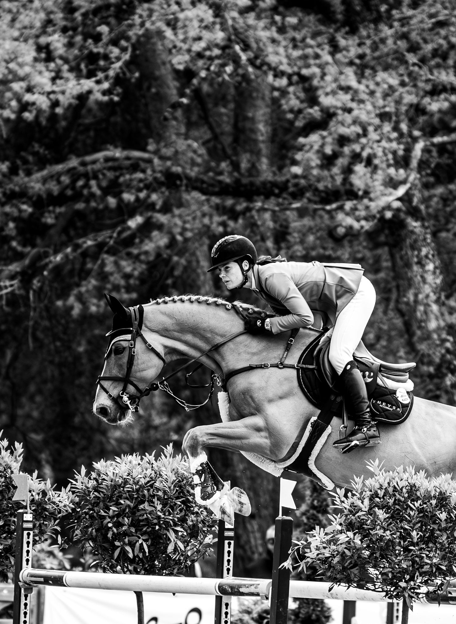 Printemps des sports équestres Fontainebleau CSI - Emd Photographie