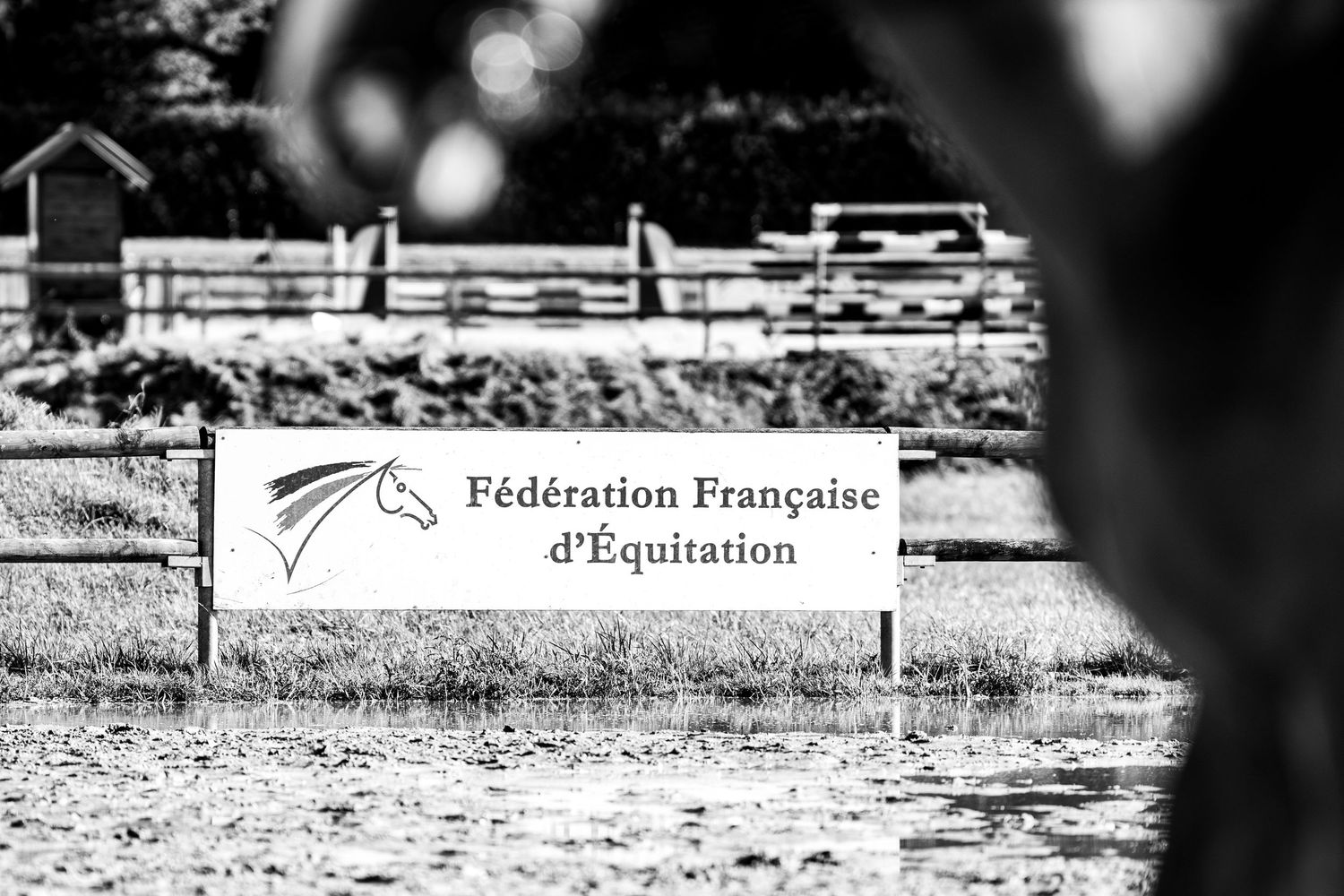 Lamotte Beuvron - Générali open de France - Emd Photographie - Portrait équestre, sport, famille, lifestyle - Eure et loir