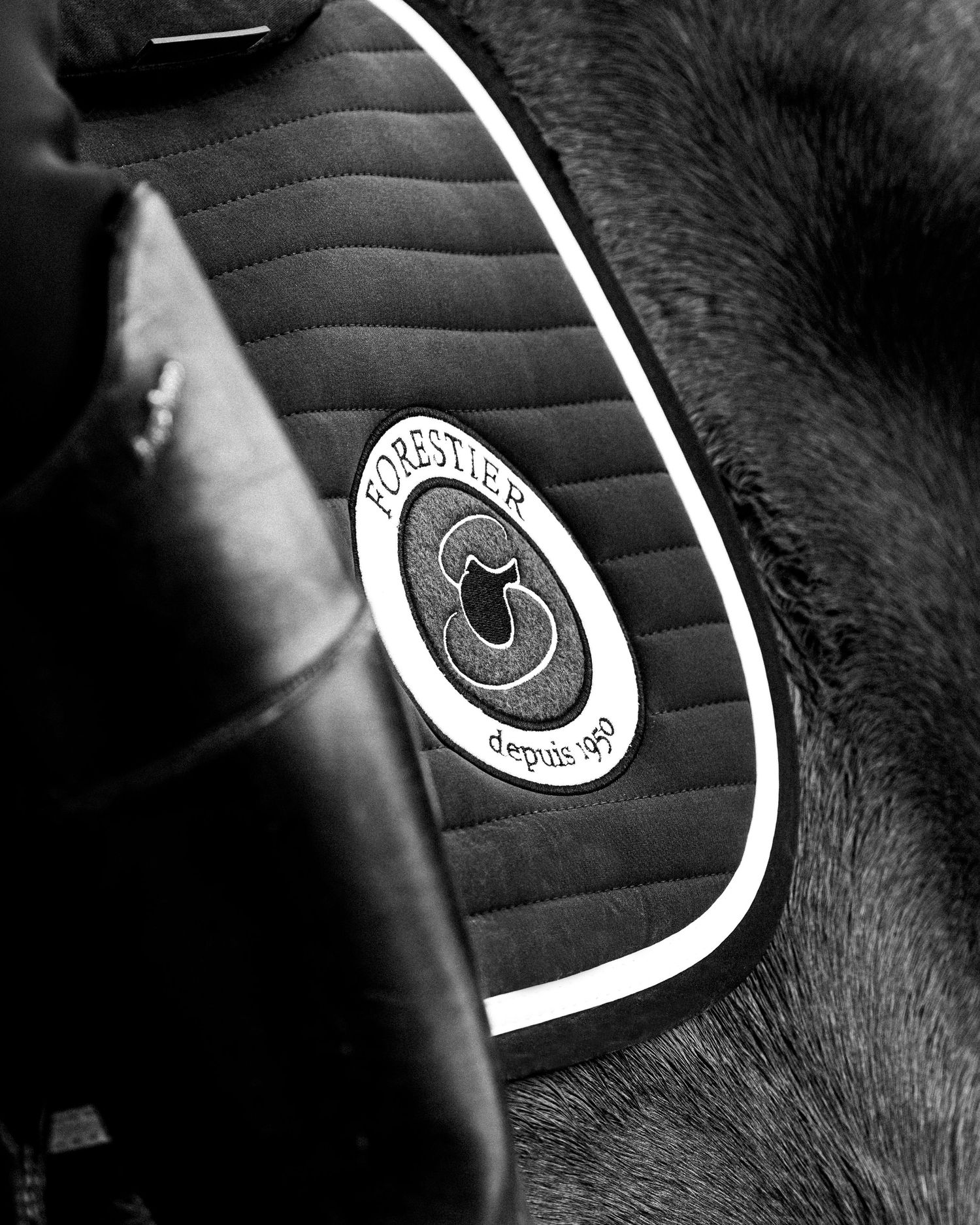 Sellier Forestier - Portrait équestre, sport, famille, lifestyle - Côte d'Azur - Emd Photographie