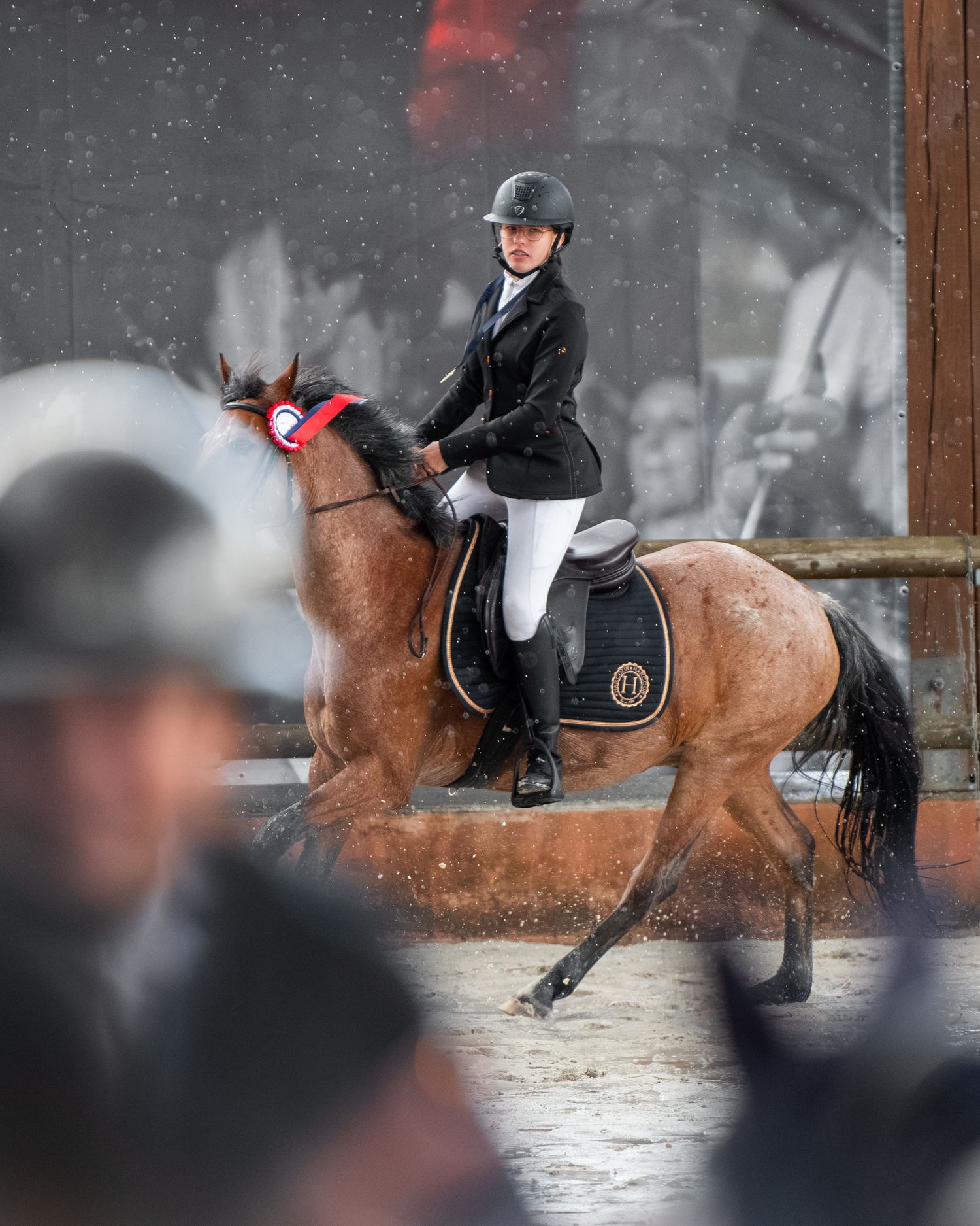 Lamotte Beuvron - Générali open de France - Emd Photographie - Portrait équestre, sport, famille, lifestyle - Eure et loir
