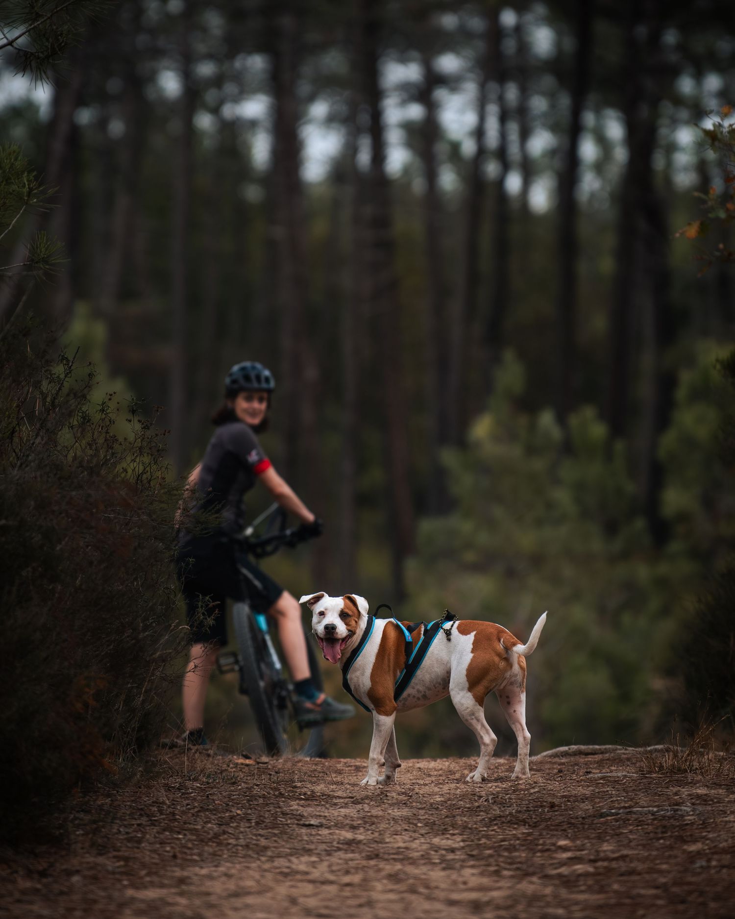 Cani VTT - Côte d'azur - Emd Photographie - Sport, lifestyle, famille