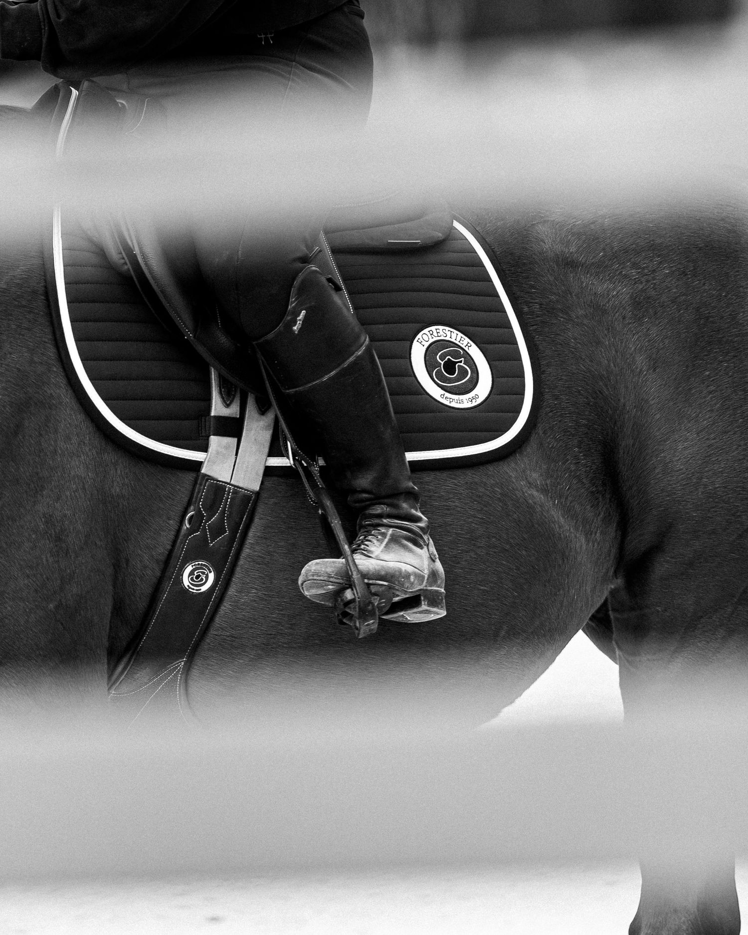 Sellier Forestier - Portrait équestre, sport, famille, lifestyle - Côte d'Azur - Emd Photographie