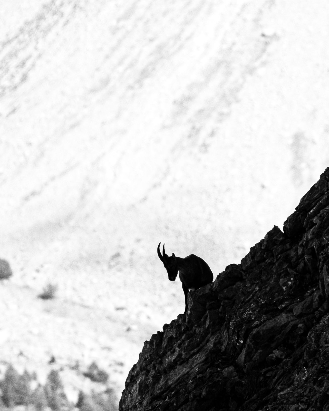 Treck, Randonnée montagne - Côte d'azur - Emd Photographie - Sport, lifestyle, famille