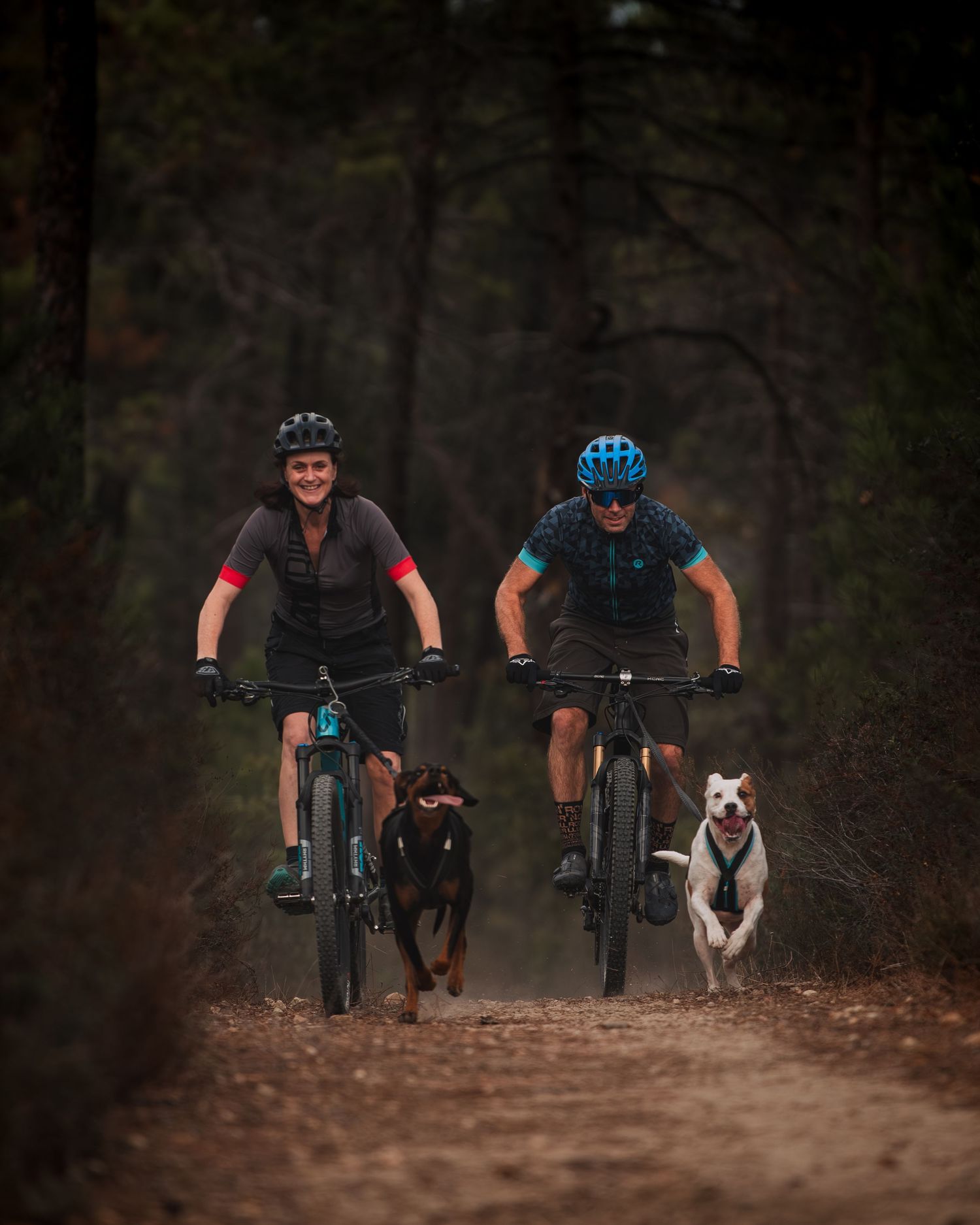 Cani VTT - Côte d'azur - Emd Photographie - Sport, lifestyle, famille