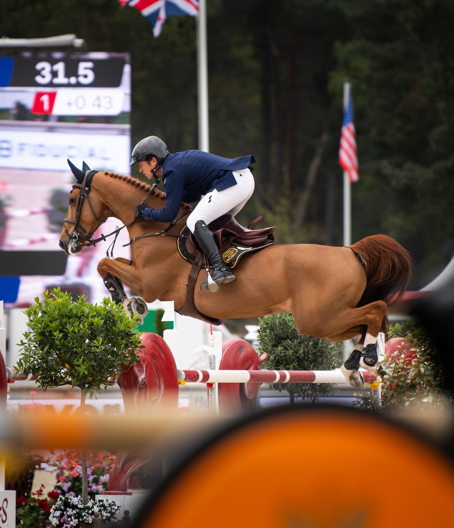 Printemps des sports équestres Fontainebleau CSI - Emd Photographie