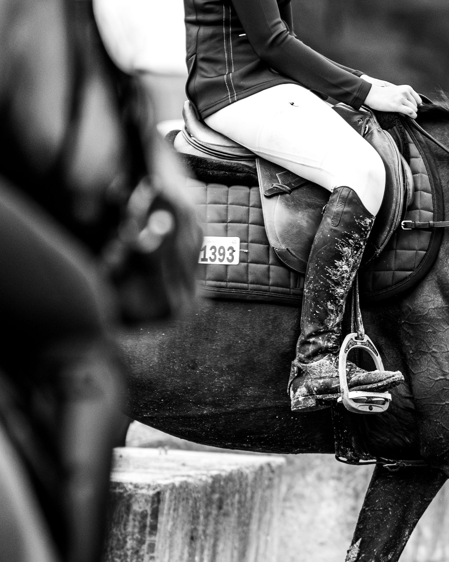 Lamotte Beuvron - Générali open de France - Emd Photographie - Portrait équestre, sport, famille, lifestyle - Eure et loir