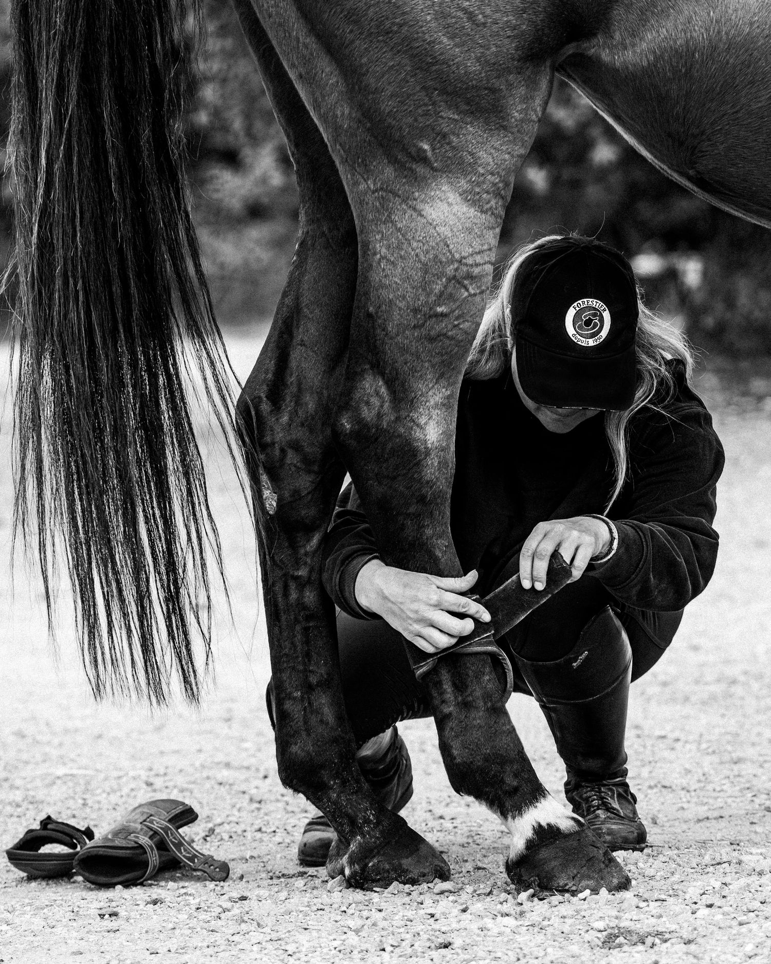 Sellier Forestier - Portrait équestre, sport, famille, lifestyle - Côte d'Azur - Emd Photographie