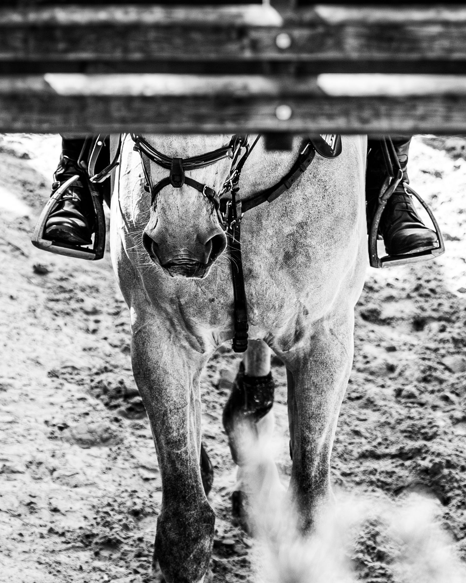 Jump bost Fontainebleau - Emd Photographie