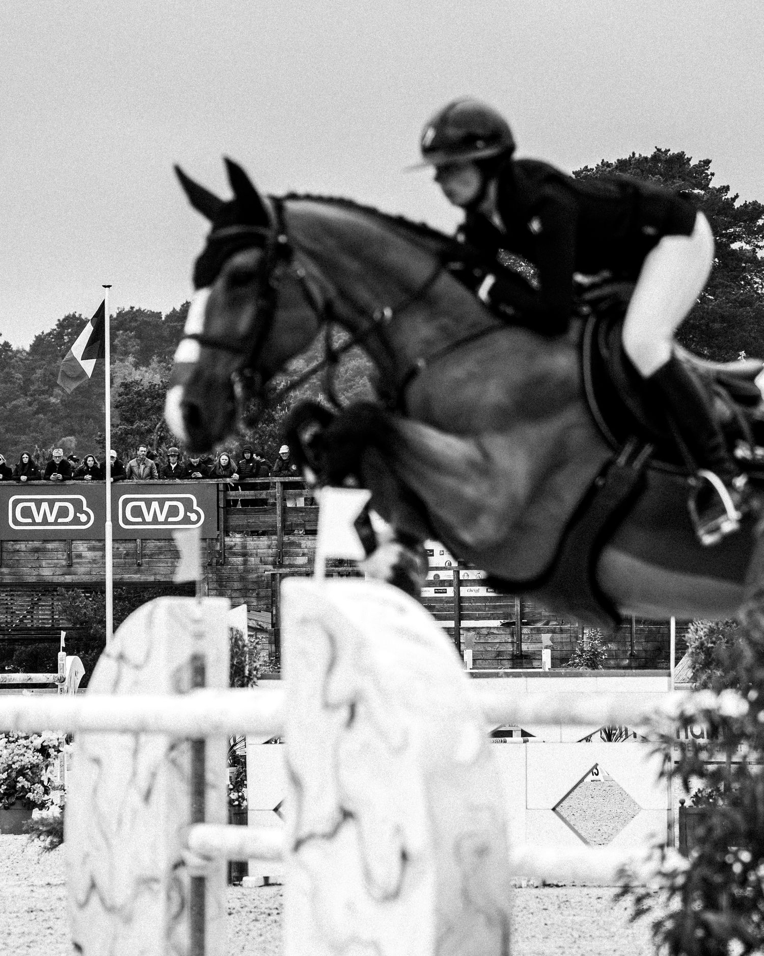 Printemps des sports équestres Fontainebleau CSI - Emd Photographie