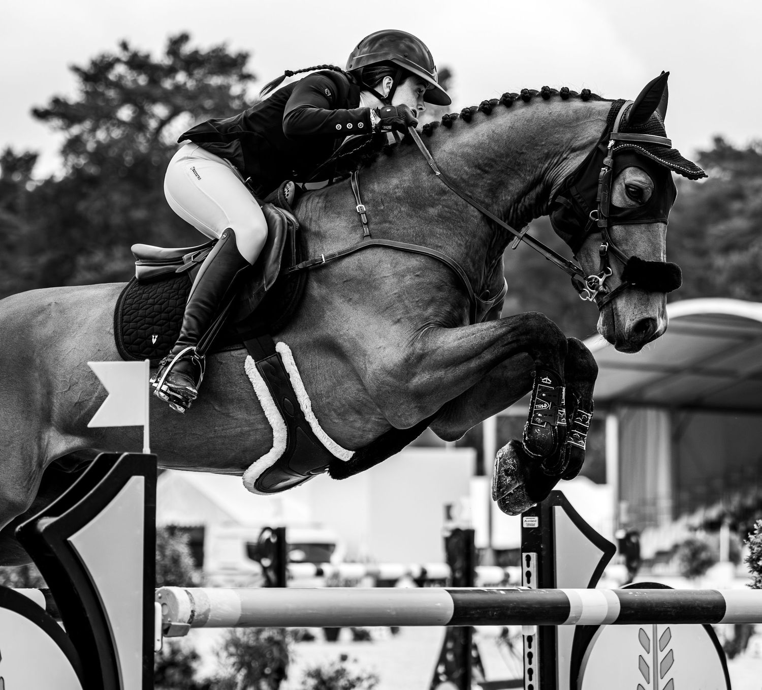 Printemps des sports équestres Fontainebleau CSI - Emd Photographie