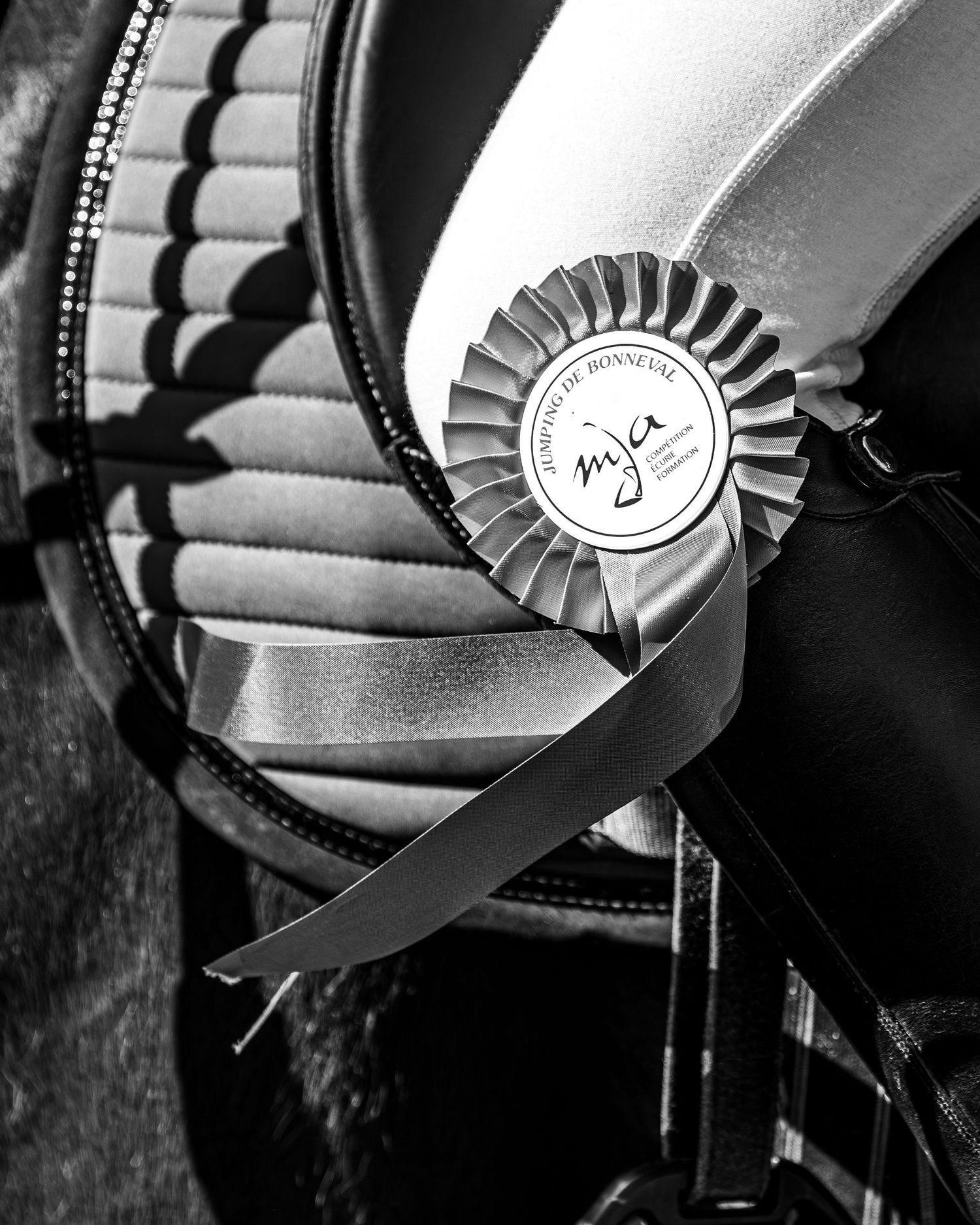 Portrait équestre, sport, famille, lifestyle - Eure et loir - Emd Photographie