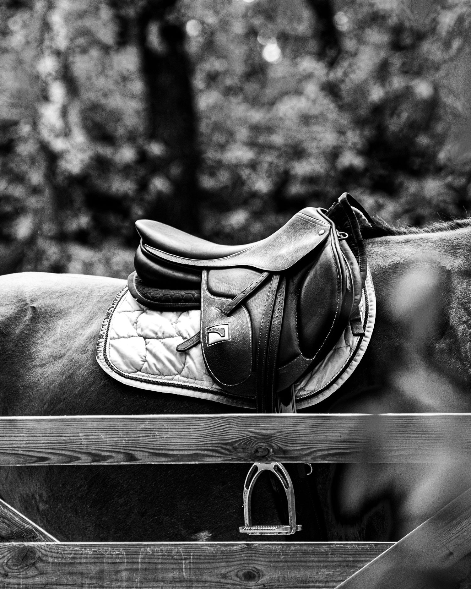 Portrait équestre, famille, lifestyle - Côte d'Azur - Emd Photographie