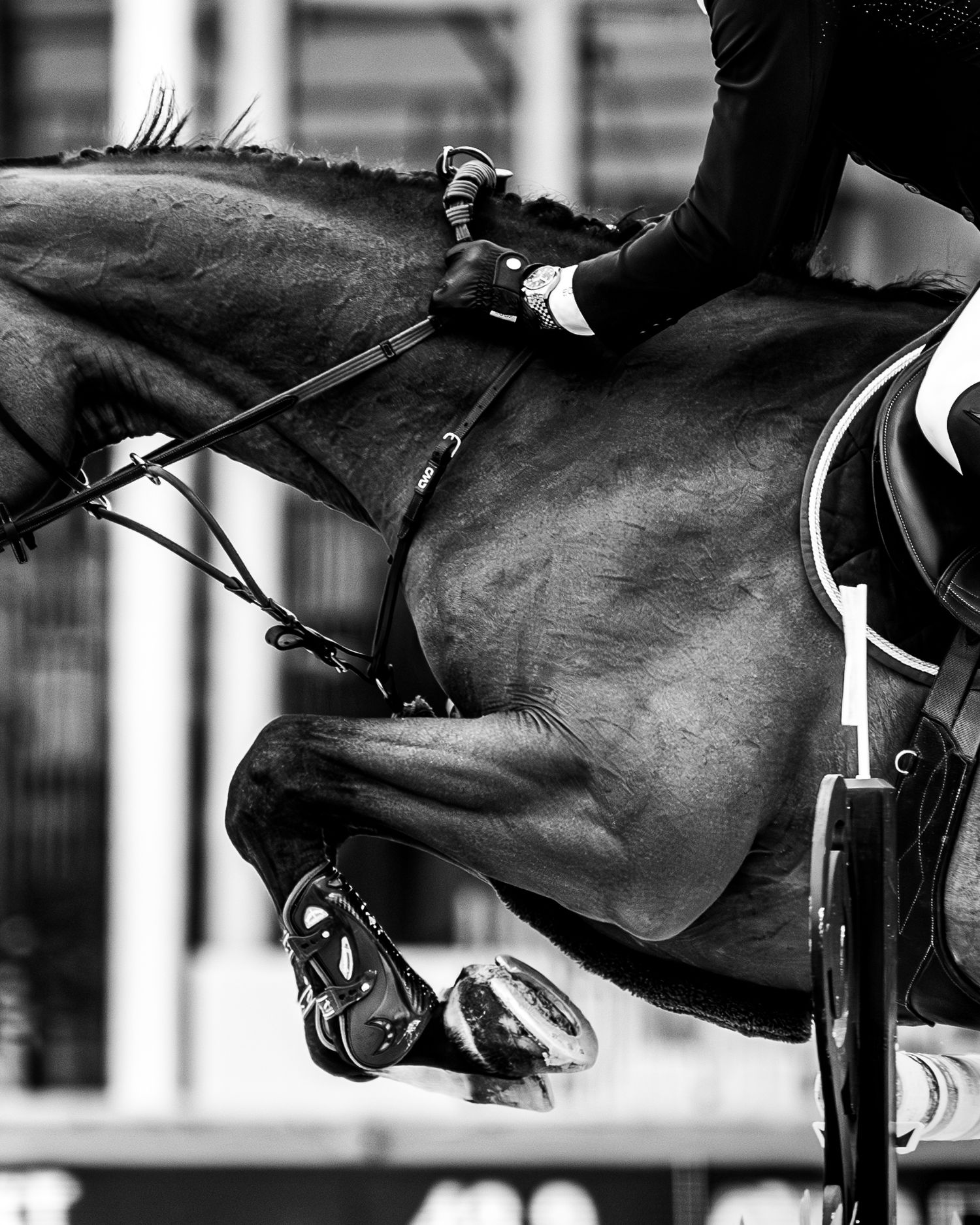 Printemps des sports équestres Fontainebleau CSI - Emd Photographie