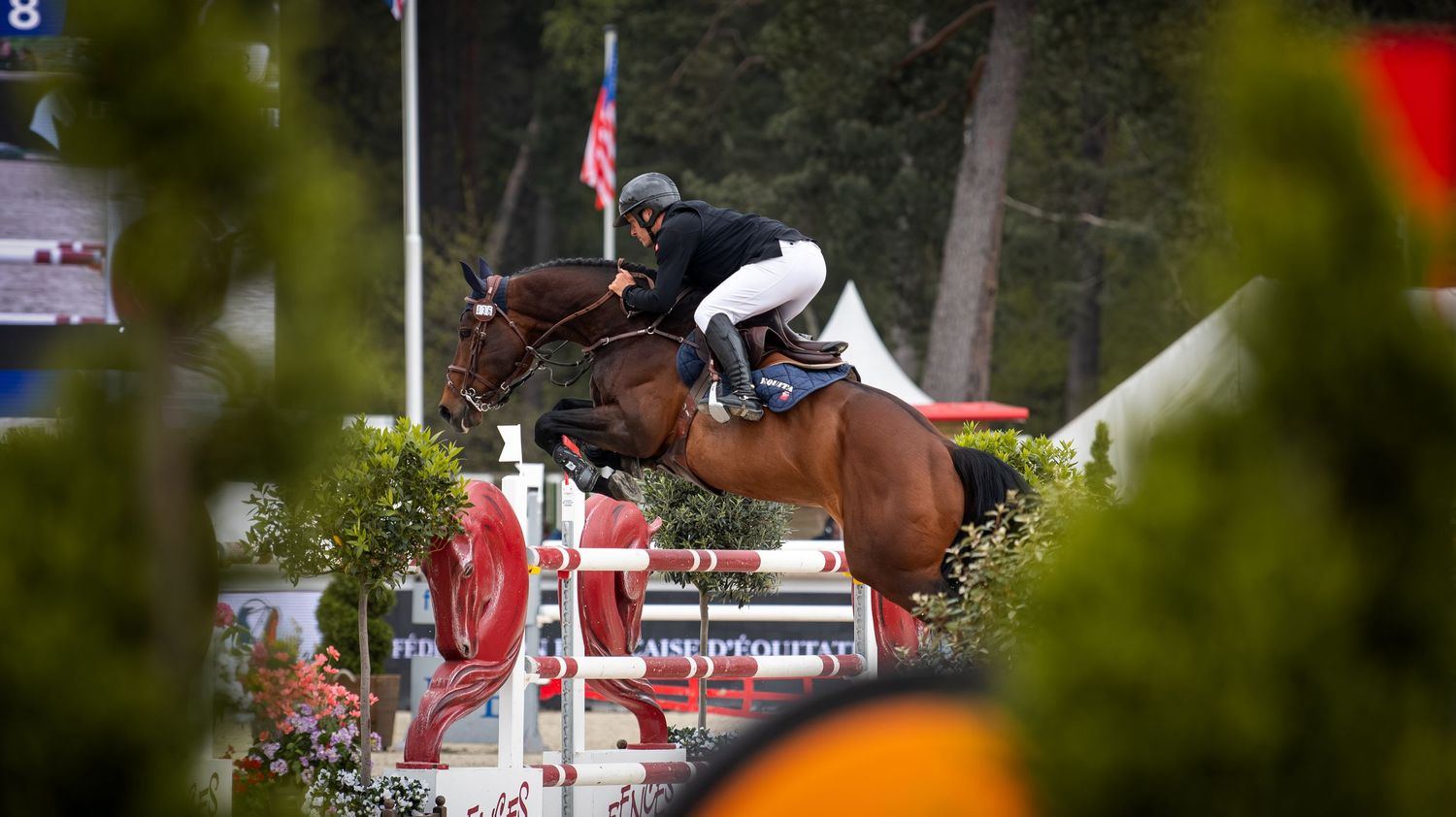 Printemps des sports équestres Fontainebleau CSI - Emd Photographie