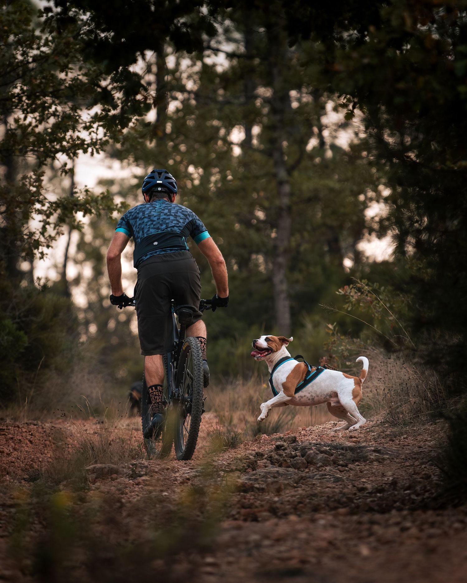 Cani VTT - Côte d'azur - Emd Photographie - Sport, lifestyle, famille