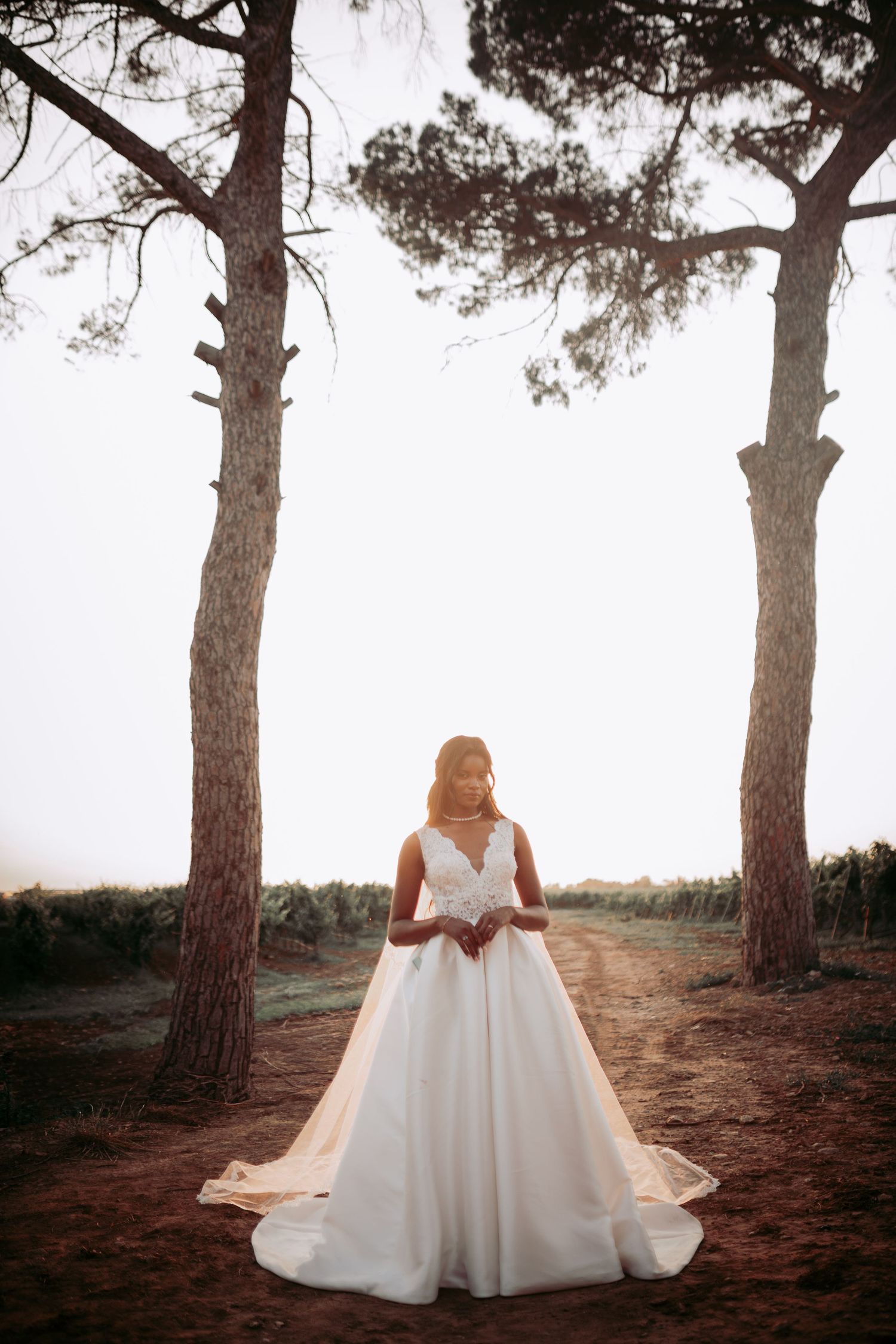 Bride in elegant white ballgown standing between tall pine trees on a dirt path at golden hour.