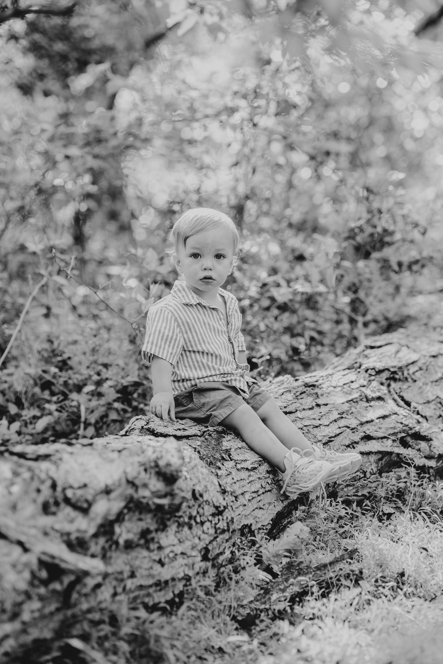 Black and white portrait of child lying on textured fallen tree trunk.