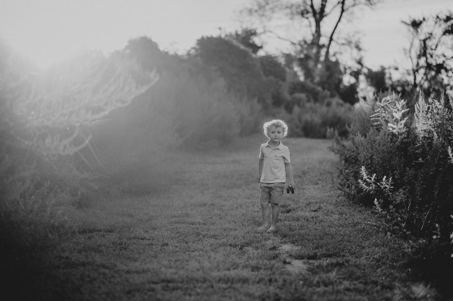 Misty black and white landscape with small figure in distance.