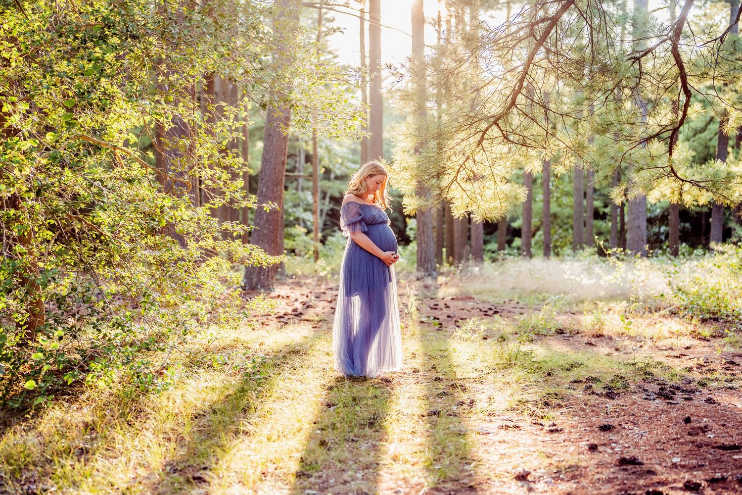 Maternity photo in a sunlit forest with golden rays streaming through trees.
