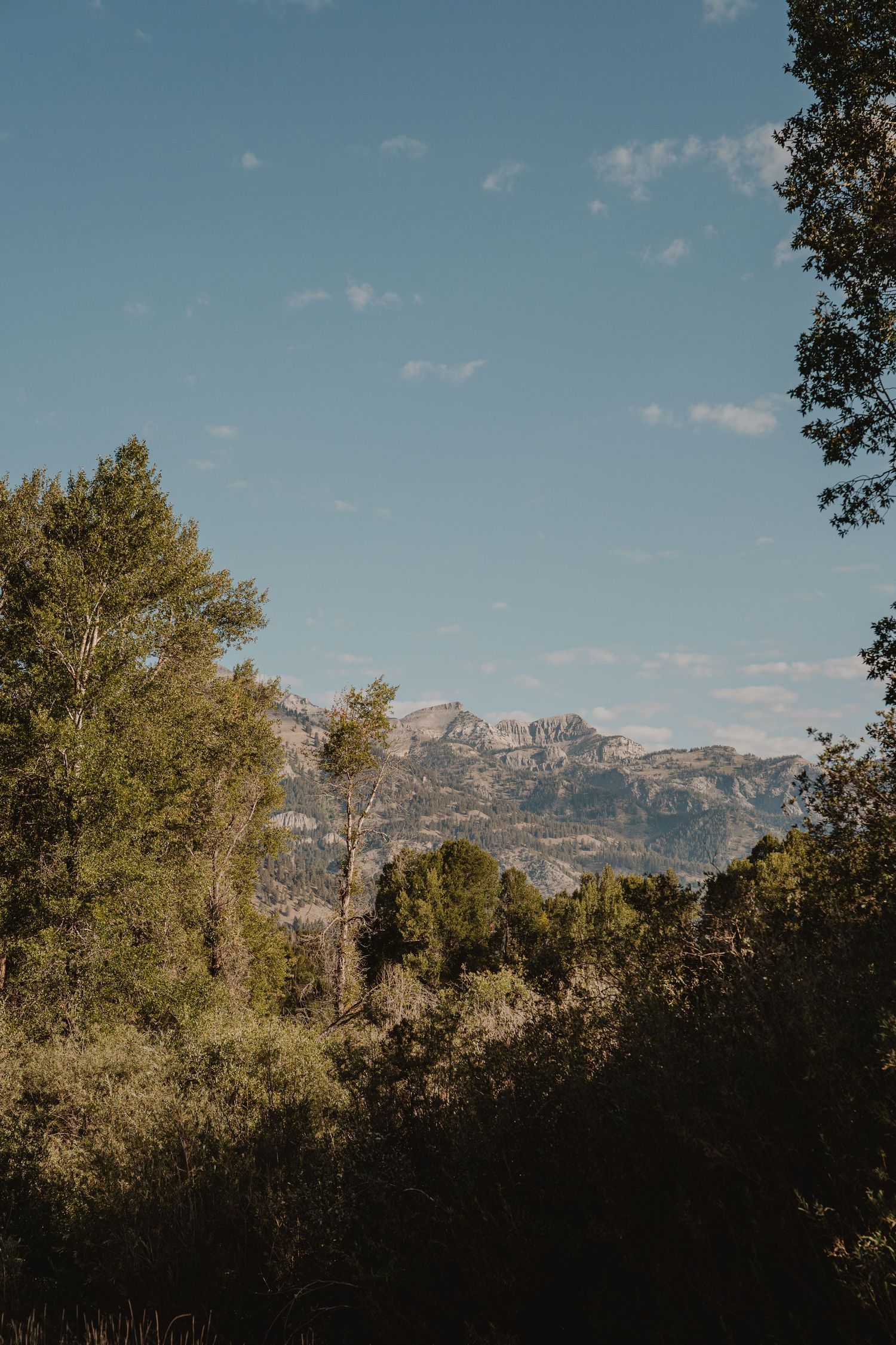 Scenic mountain landscape view with tall peaks visible through trees against a blue sky with scattered clouds.