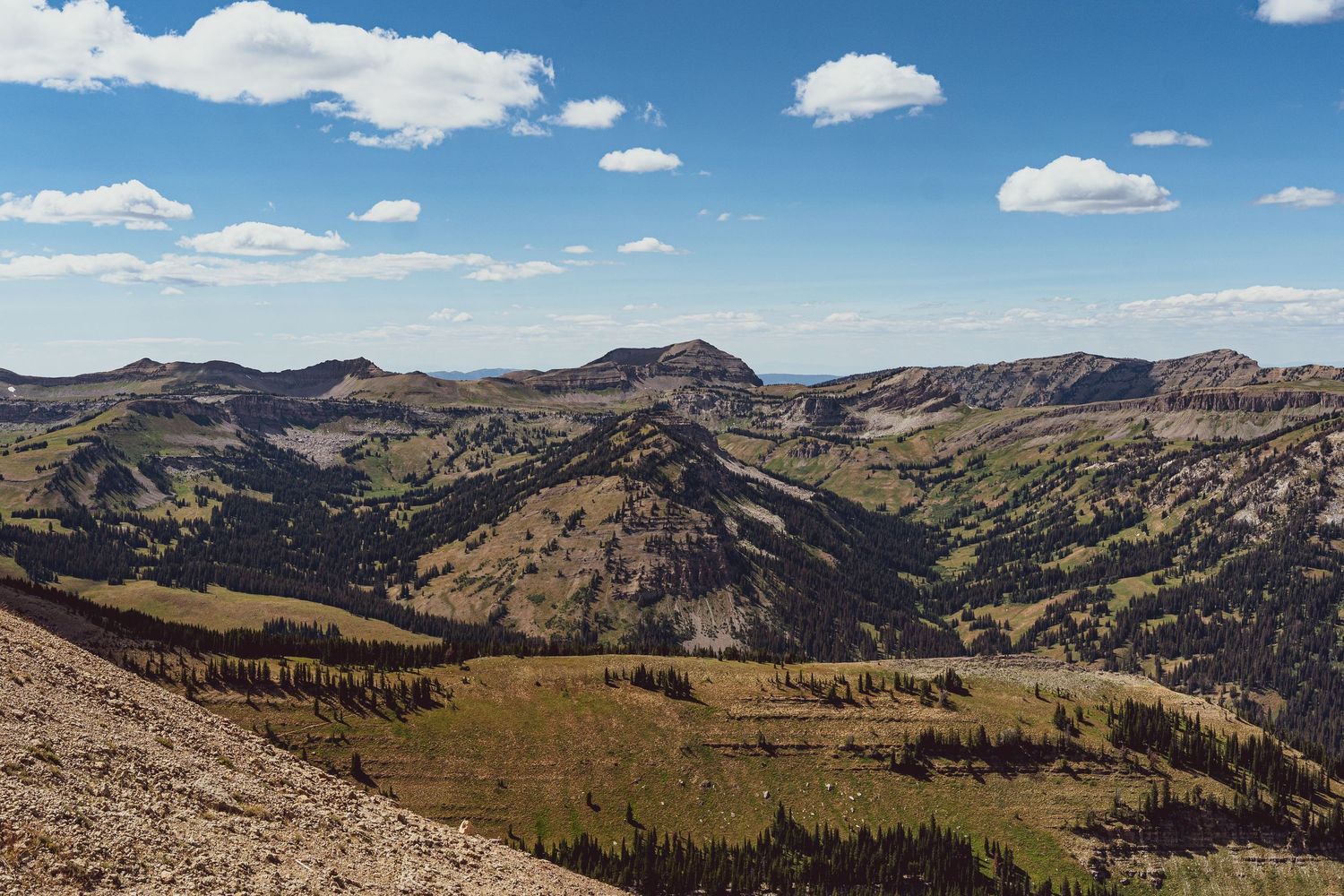 Panoramic mountain landscape with rolling hills and scattered evergreen trees under a bright blue sky with puffy clouds.