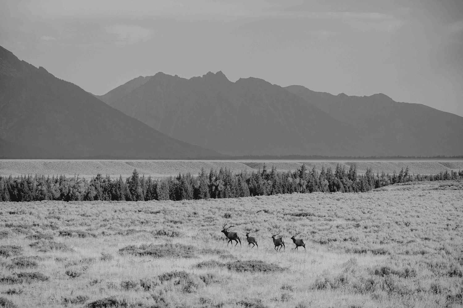 Black and white landscape of rolling hills with mountain peaks in the background.