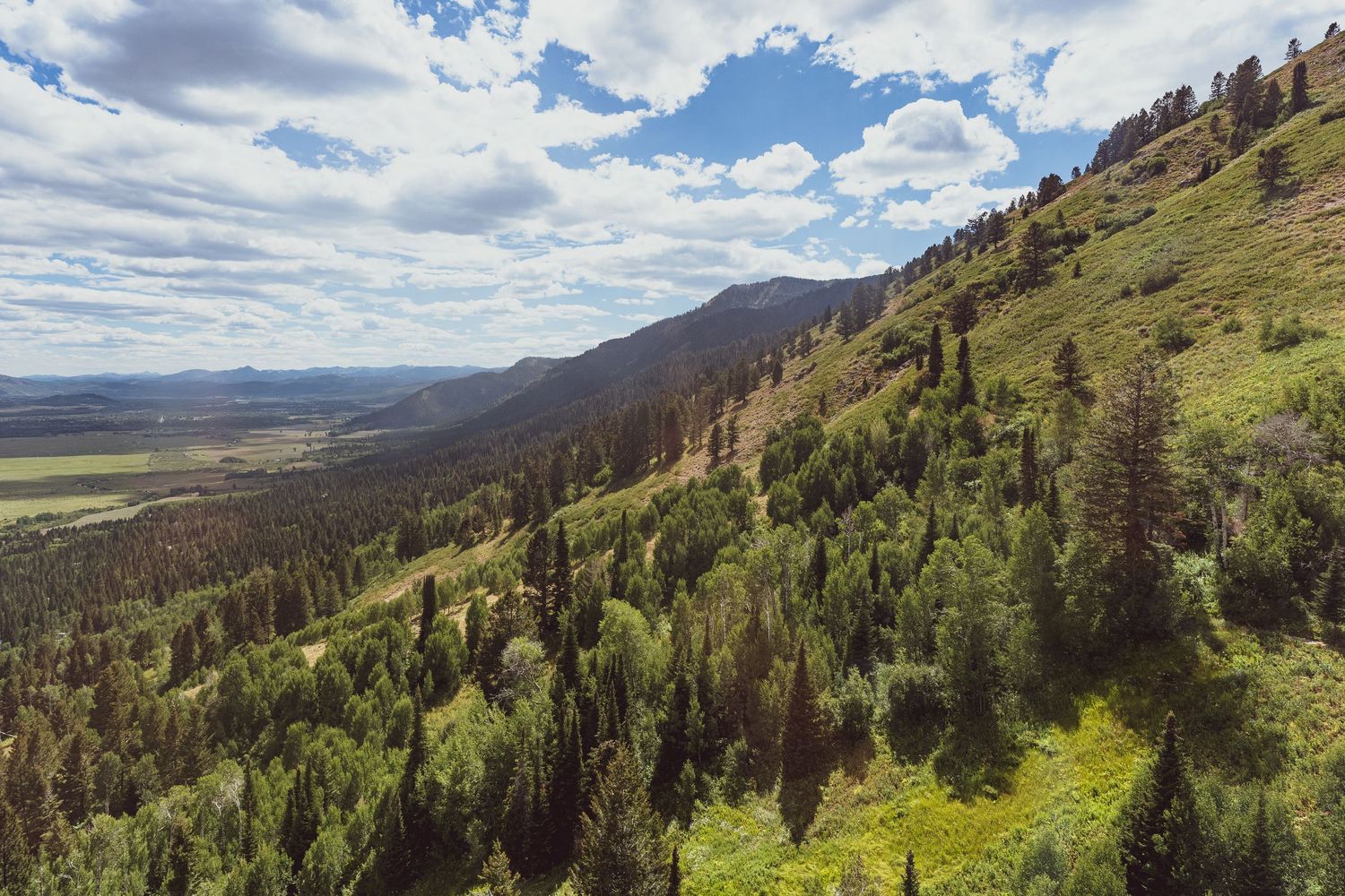 Rolling mountain landscape with evergreen forest and dramatic cloudy sky over a vast valley.