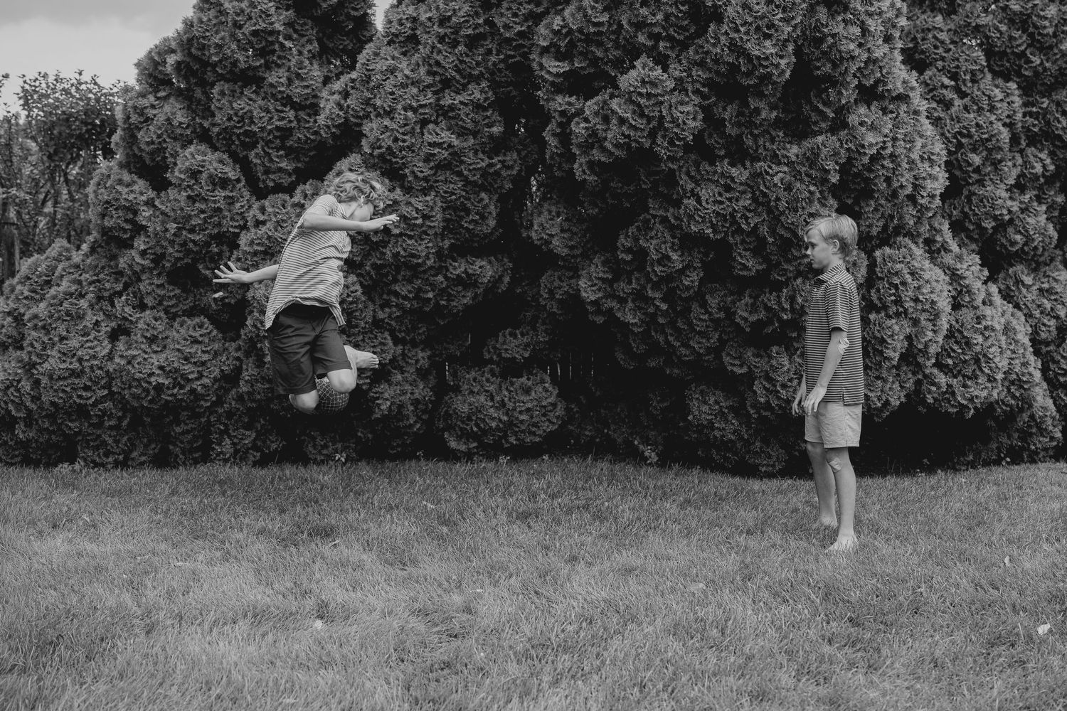 Black and white photo of two children playing outdoors, one jumping mid-air near large bushes on a green lawn.