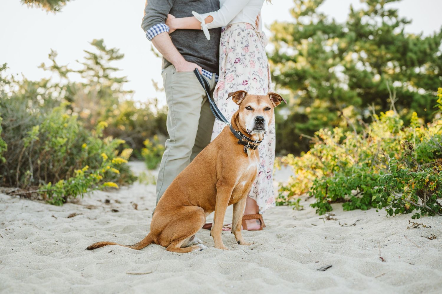 Couple poses with their brown dog on sandy beach during engagement session.