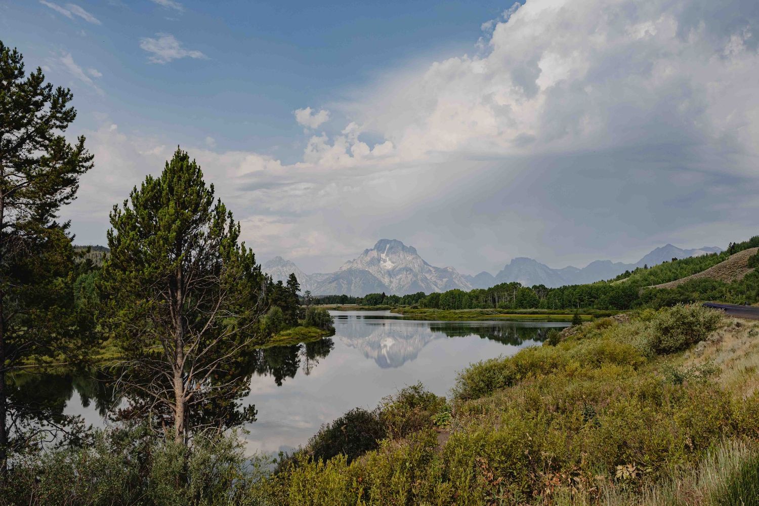 Panoramic mountain landscape with evergreen trees and cloudy skies stretches across multiple connected scenic views.