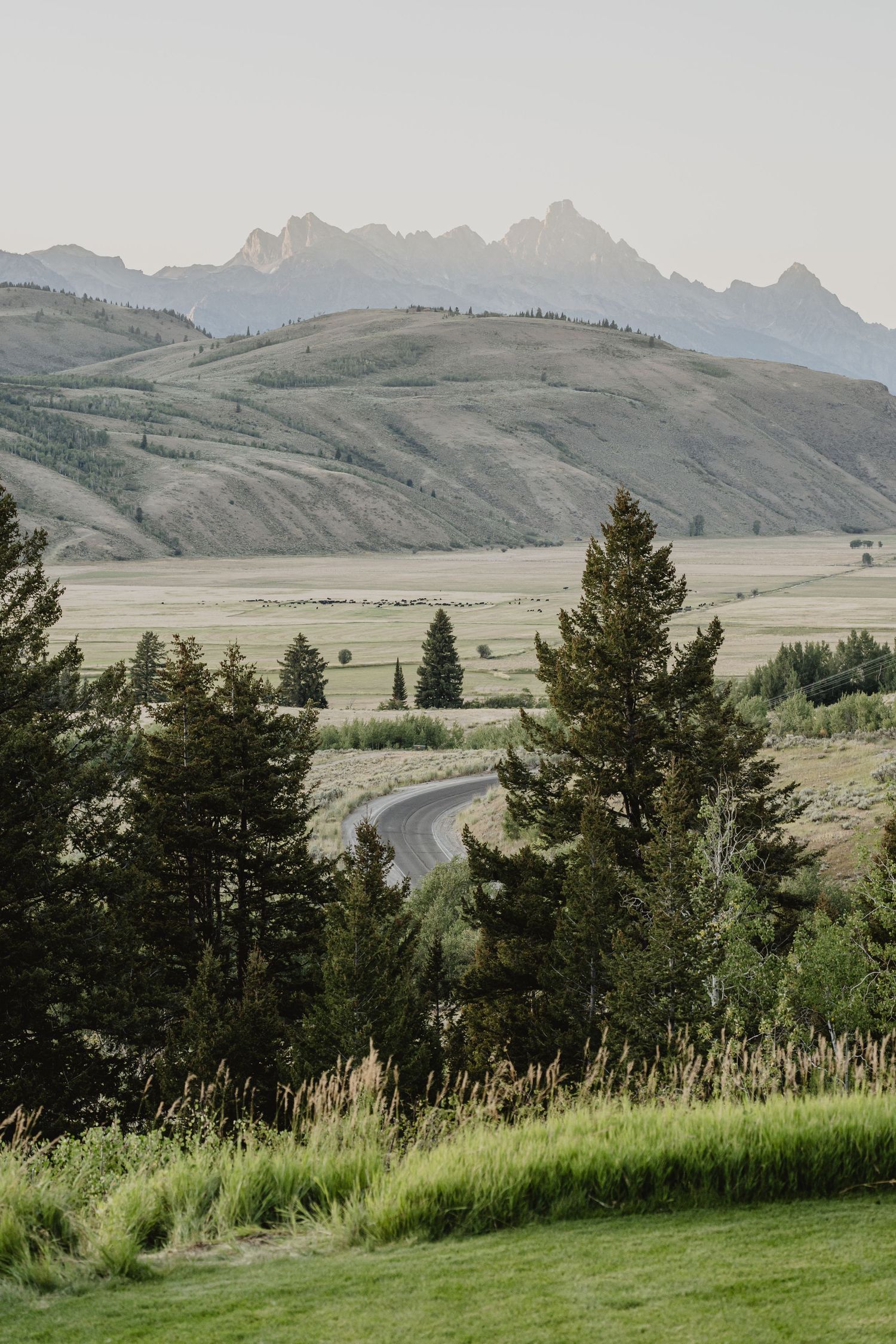 Winding mountain road curves through a scenic valley with rolling hills and evergreen trees in the foreground.