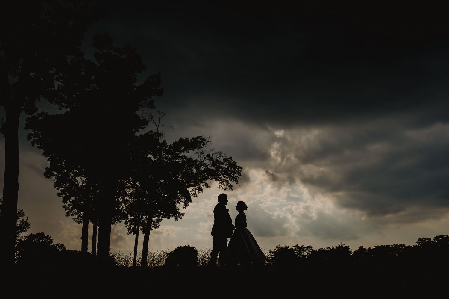 Silhouette of a couple standing together under dramatic storm clouds at dusk, framed by dark trees.