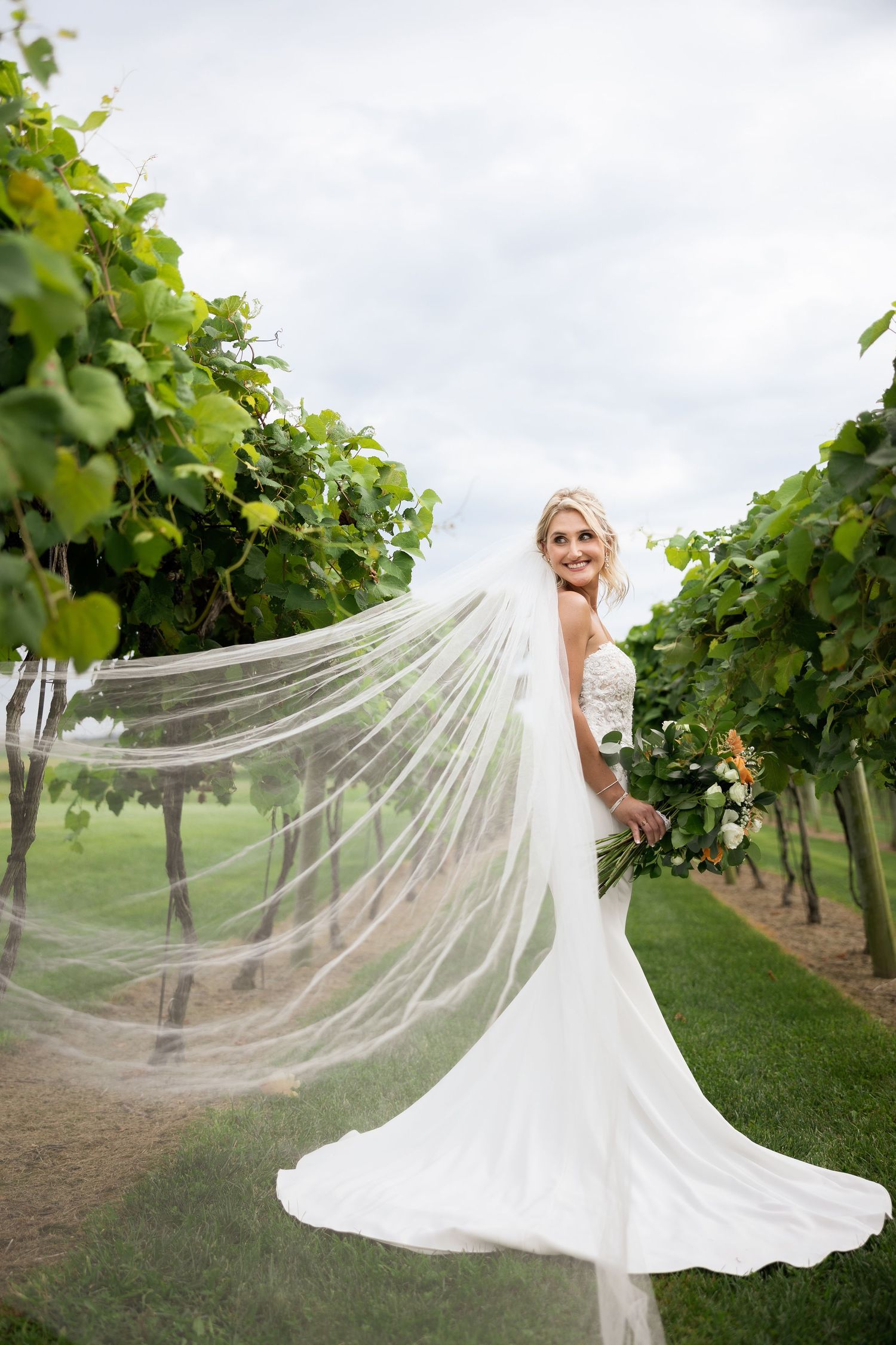 Flowing white wedding veil billowing in the wind at a vineyard.
