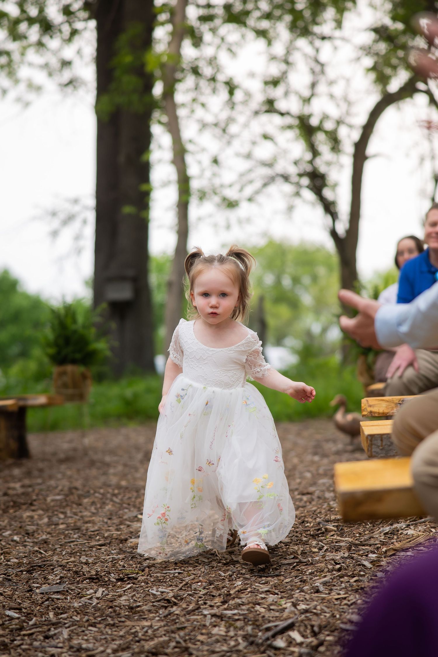Adorable flower girl in white embroidered dress walks down outdoor woodland wedding ceremony aisle.