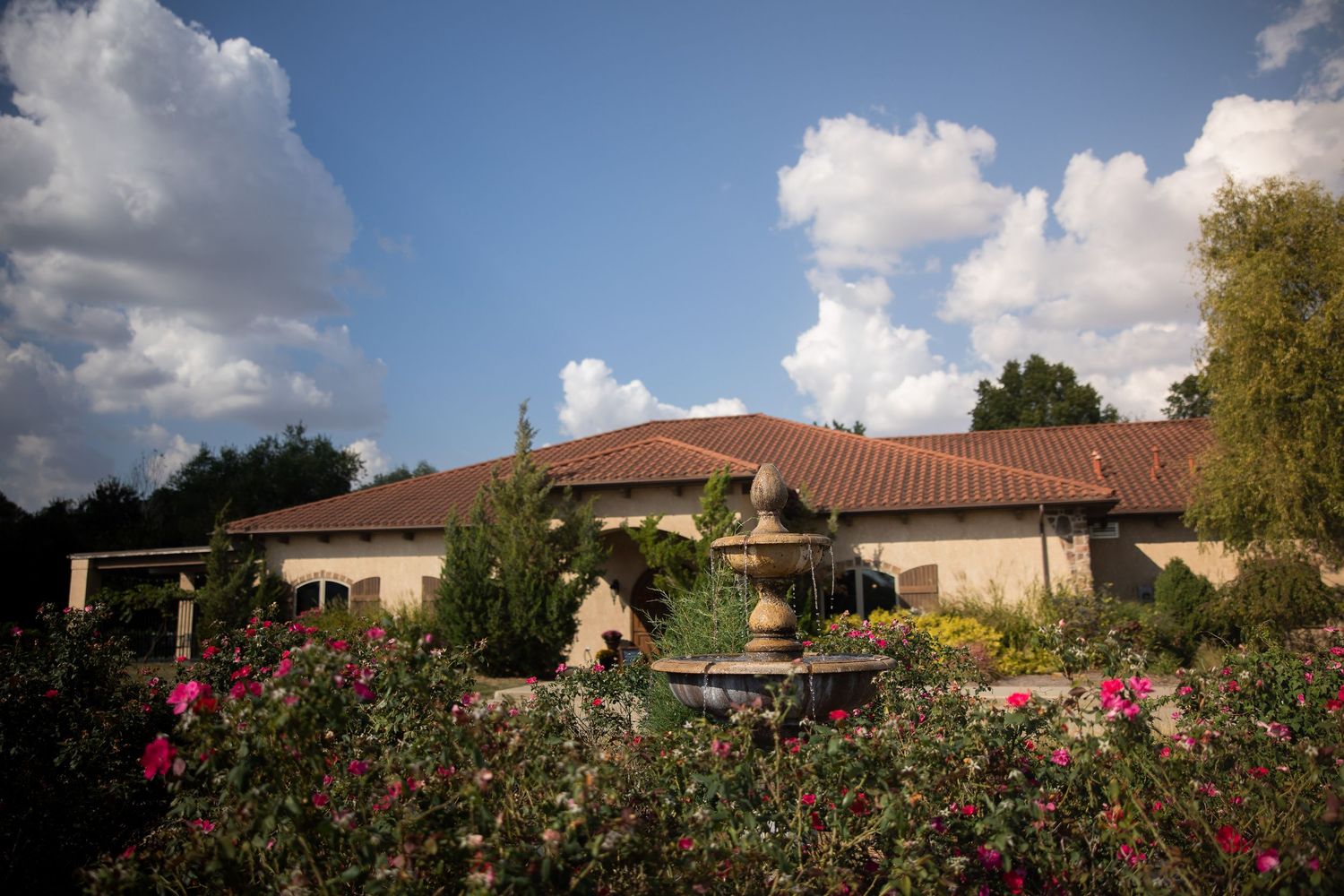 A panoramic view of suburban houses and gardens under a cloudy sky at sunset.