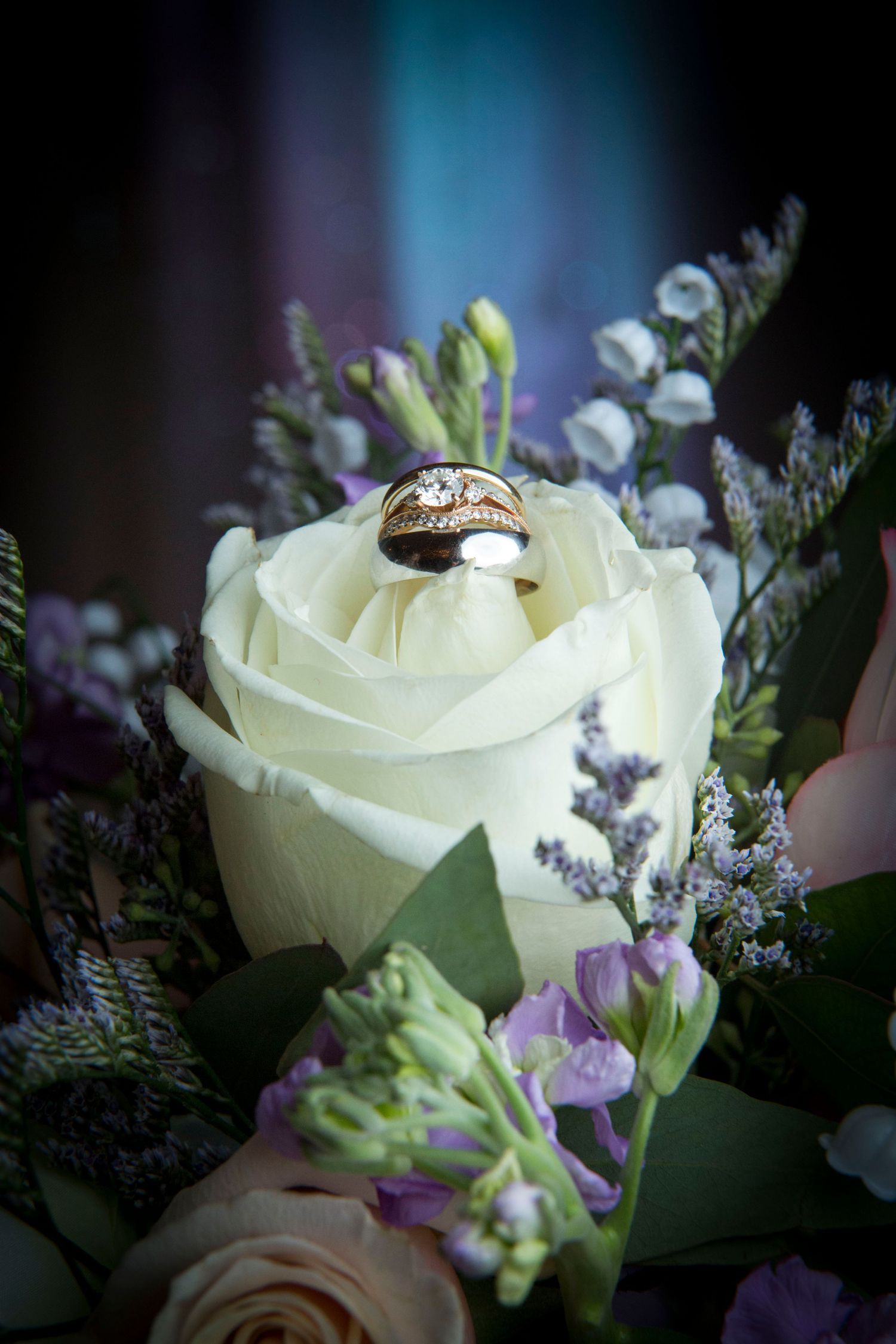 Wedding rings nestled on white roses with purple flowers in soft focus.