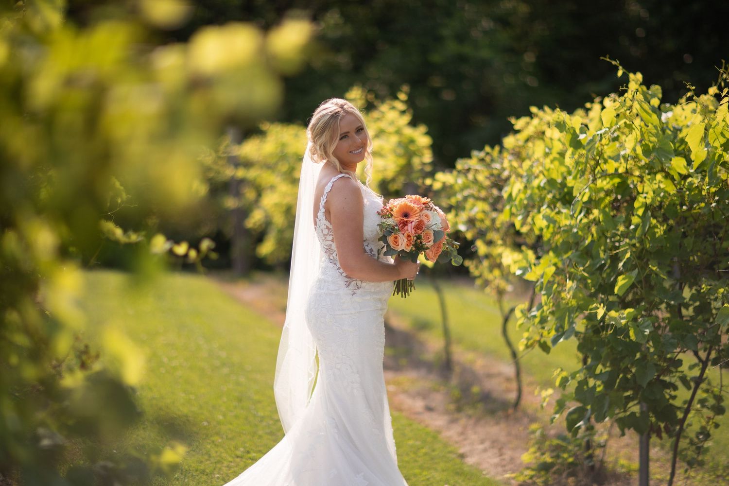 Bride in white gown holding orange bouquet standing among vineyard rows in golden sunlight.