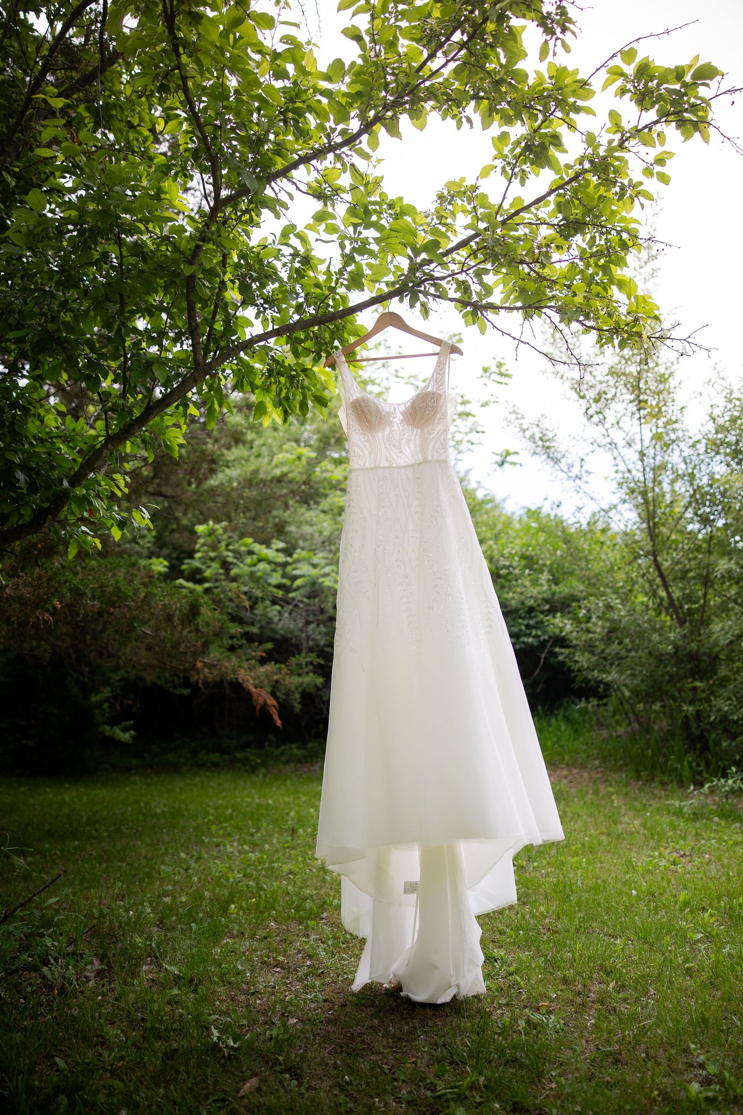 White lace wedding dress hanging on a wooden hanger from a tree branch in a lush green garden.