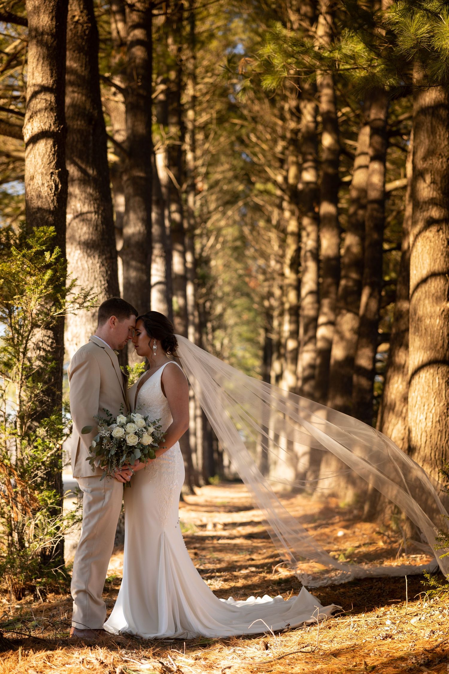 Bride and groom sharing a romantic moment in a sunlit pine forest, with veil flowing in the breeze.