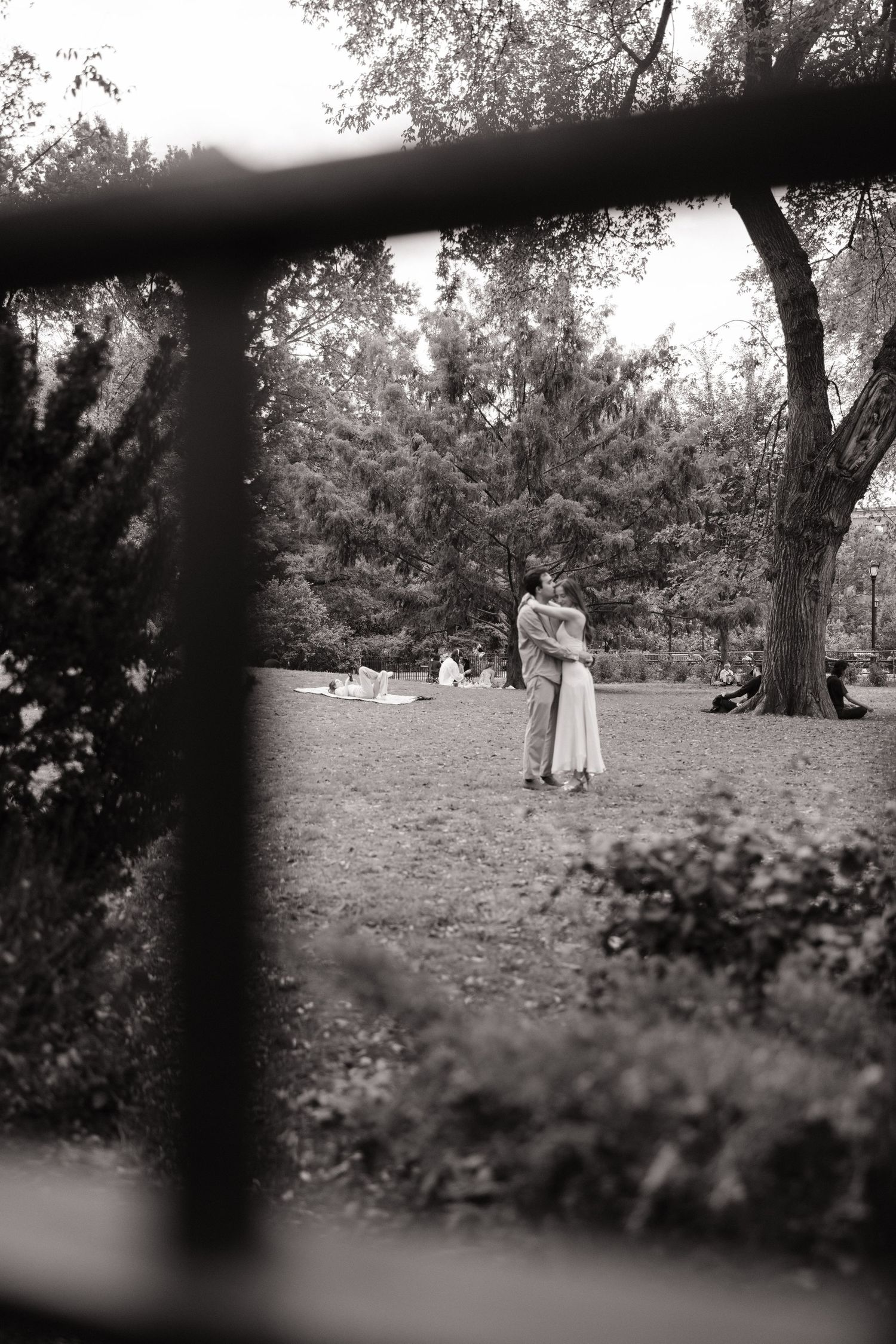A black and white panoramic sequence shows a couple walking together in a park-like setting among trees and grass.
