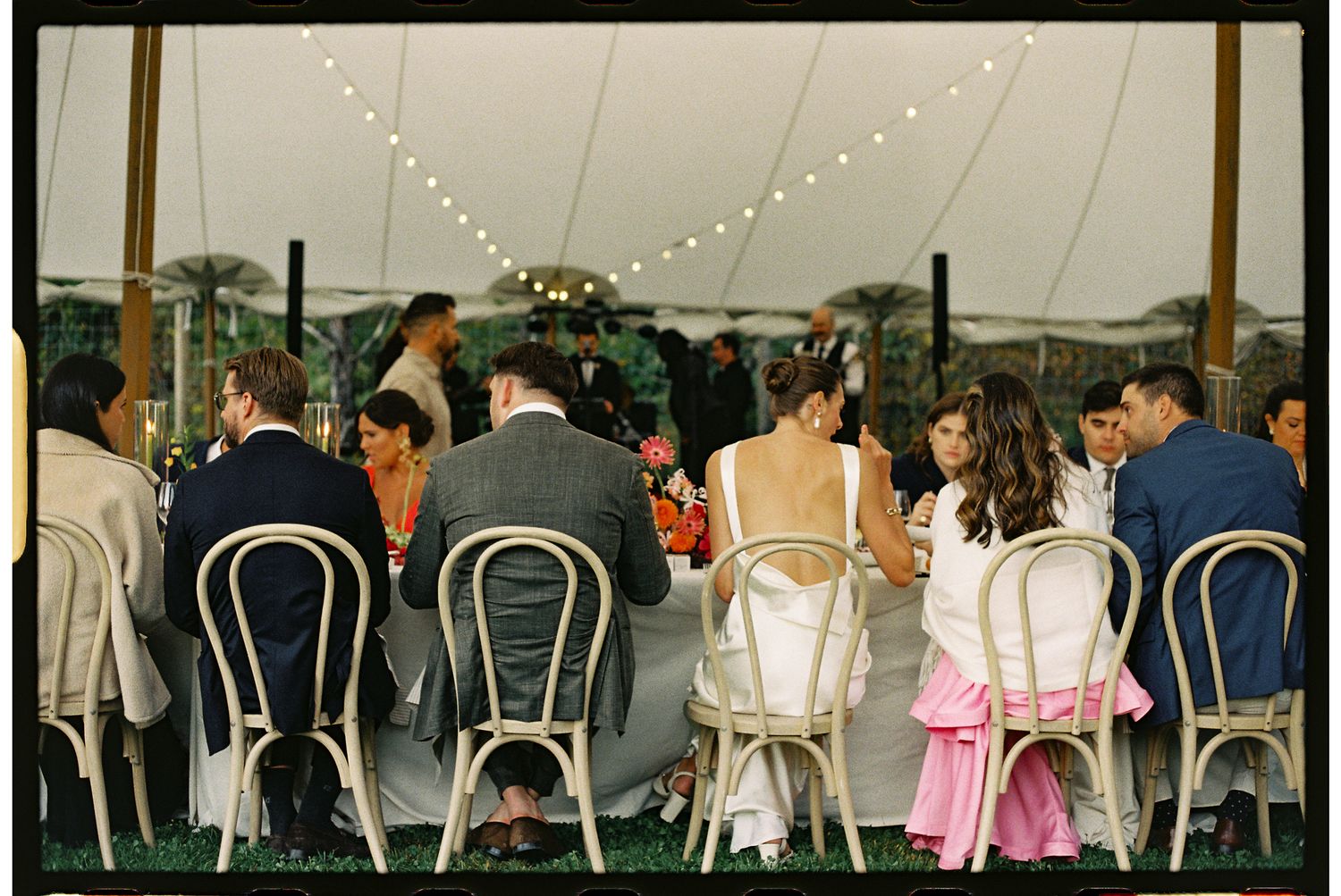 A row of people in formal attire stand at a railing overlooking a scenic view during a social gathering.