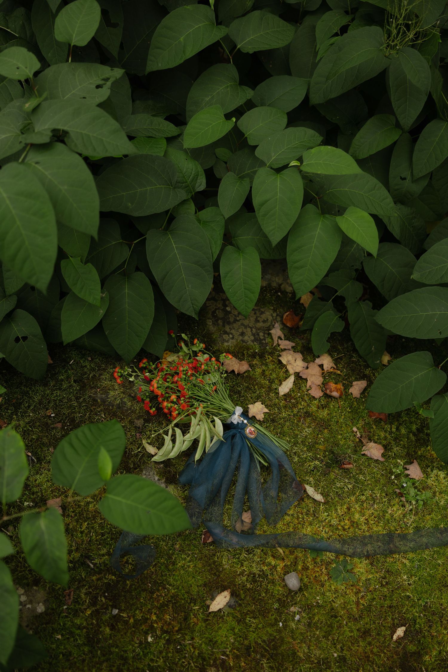 A blue dress lies on mossy ground beneath green leafy foliage in a mystical forest setting.
