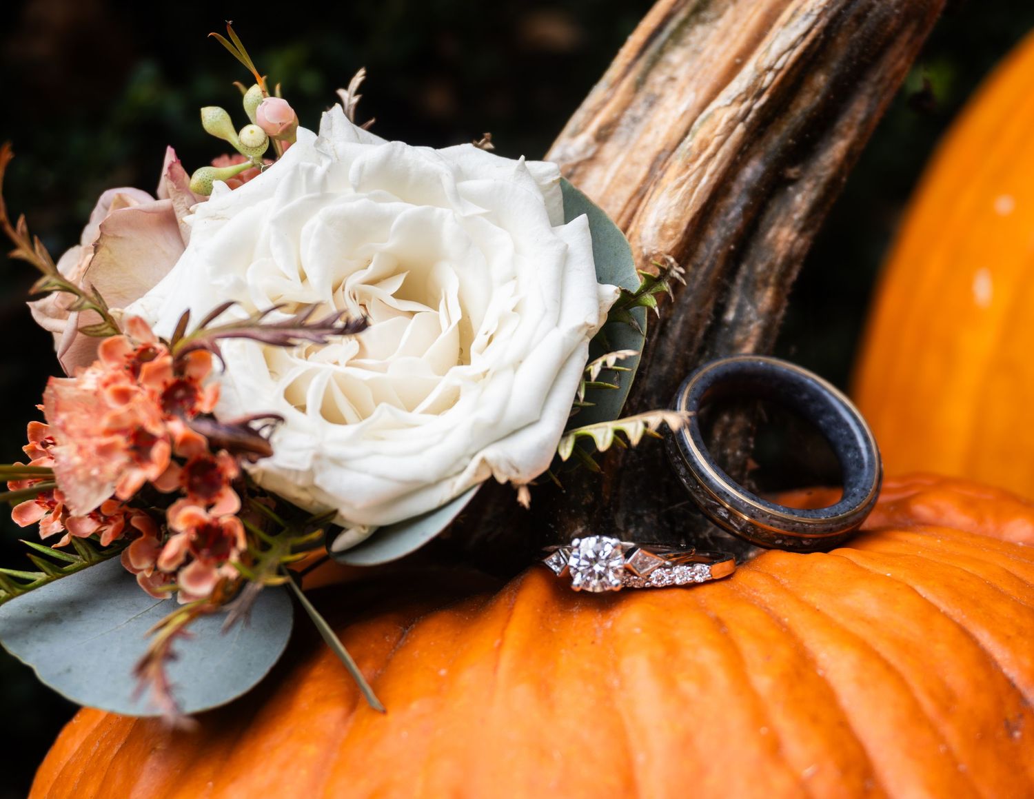 Wedding details featuring white roses and orange pumpkins create an elegant autumn-themed display.