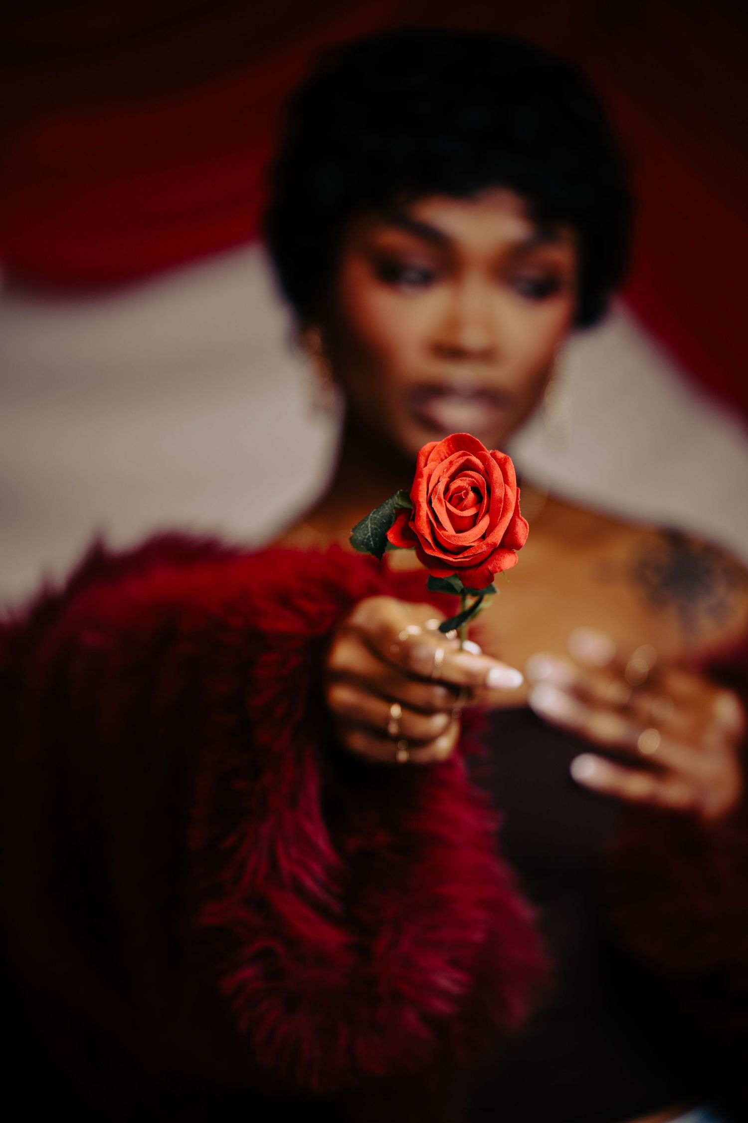 A dramatic photo series showing hands holding a red rose against a dark background with burgundy feathers.