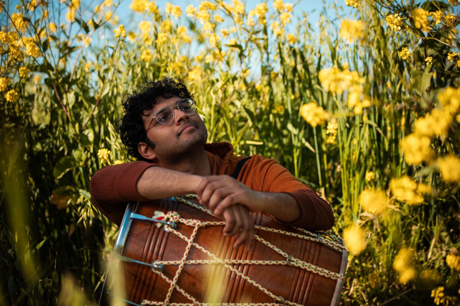 Person lying in yellow flower field with musical instrument during sunset.