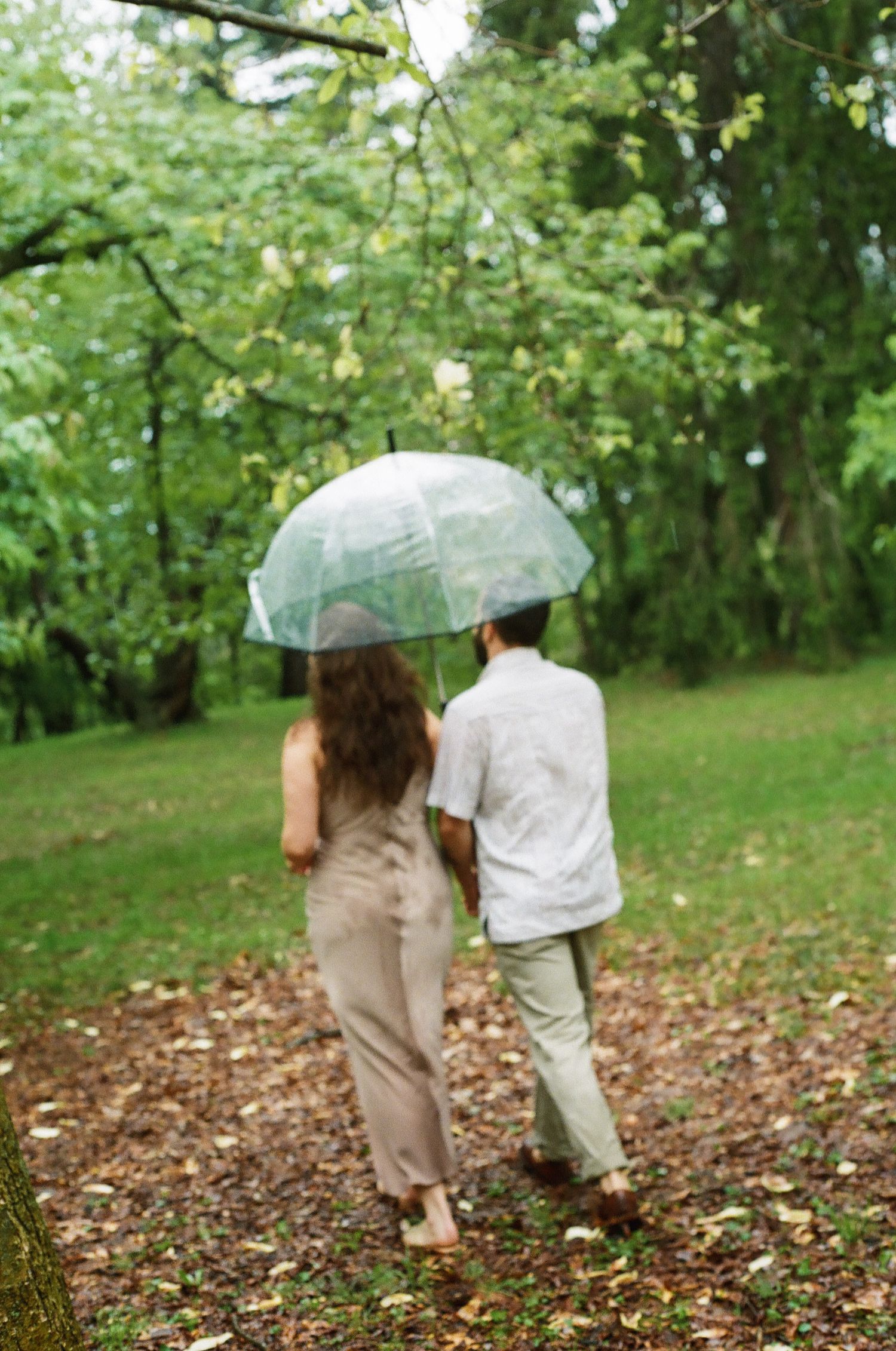 Couple walking hand-in-hand under a clear umbrella in a lush green forest during rain.