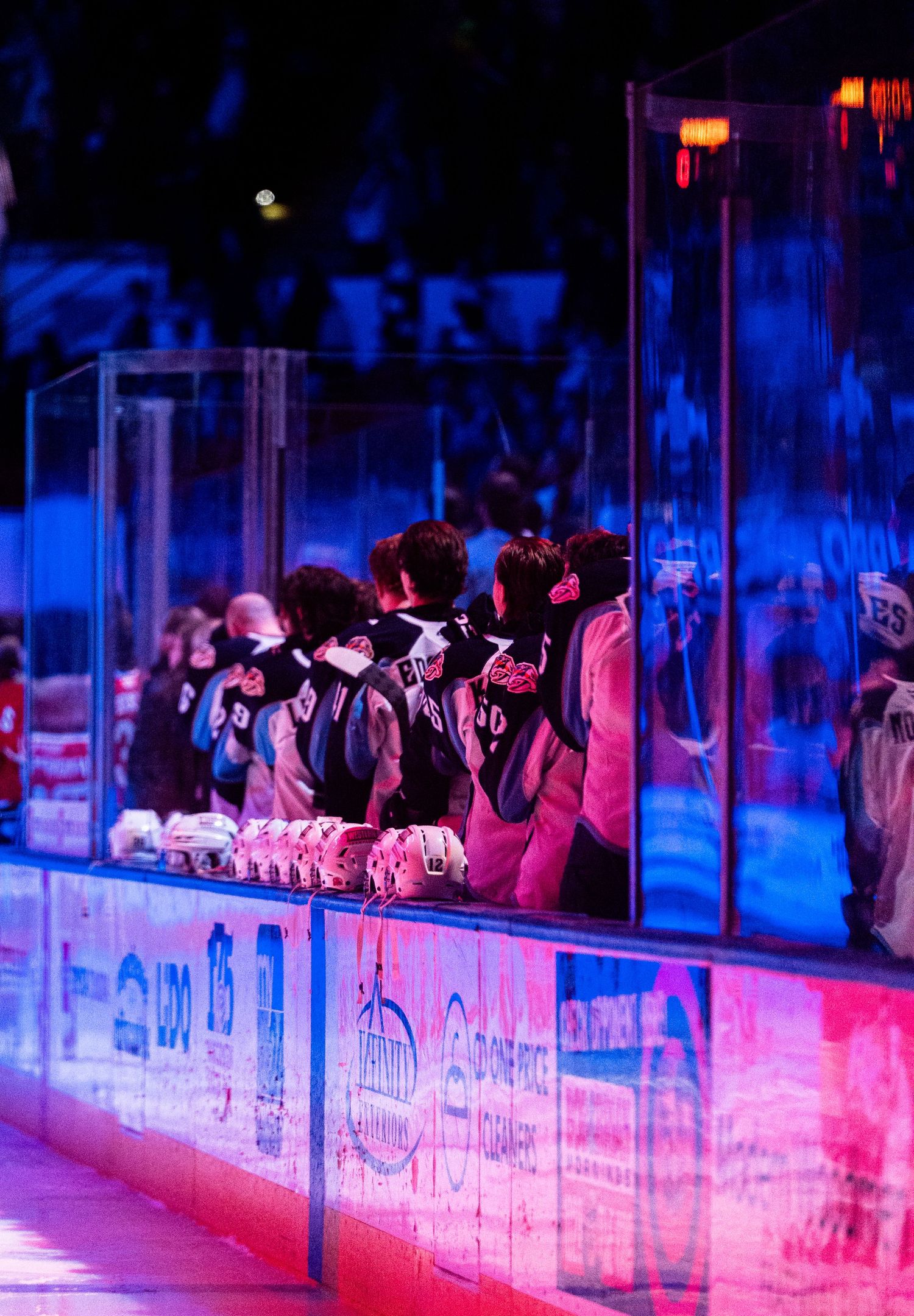 Hockey players lean over the boards at a rink illuminated by dramatic blue and pink lighting during a game.